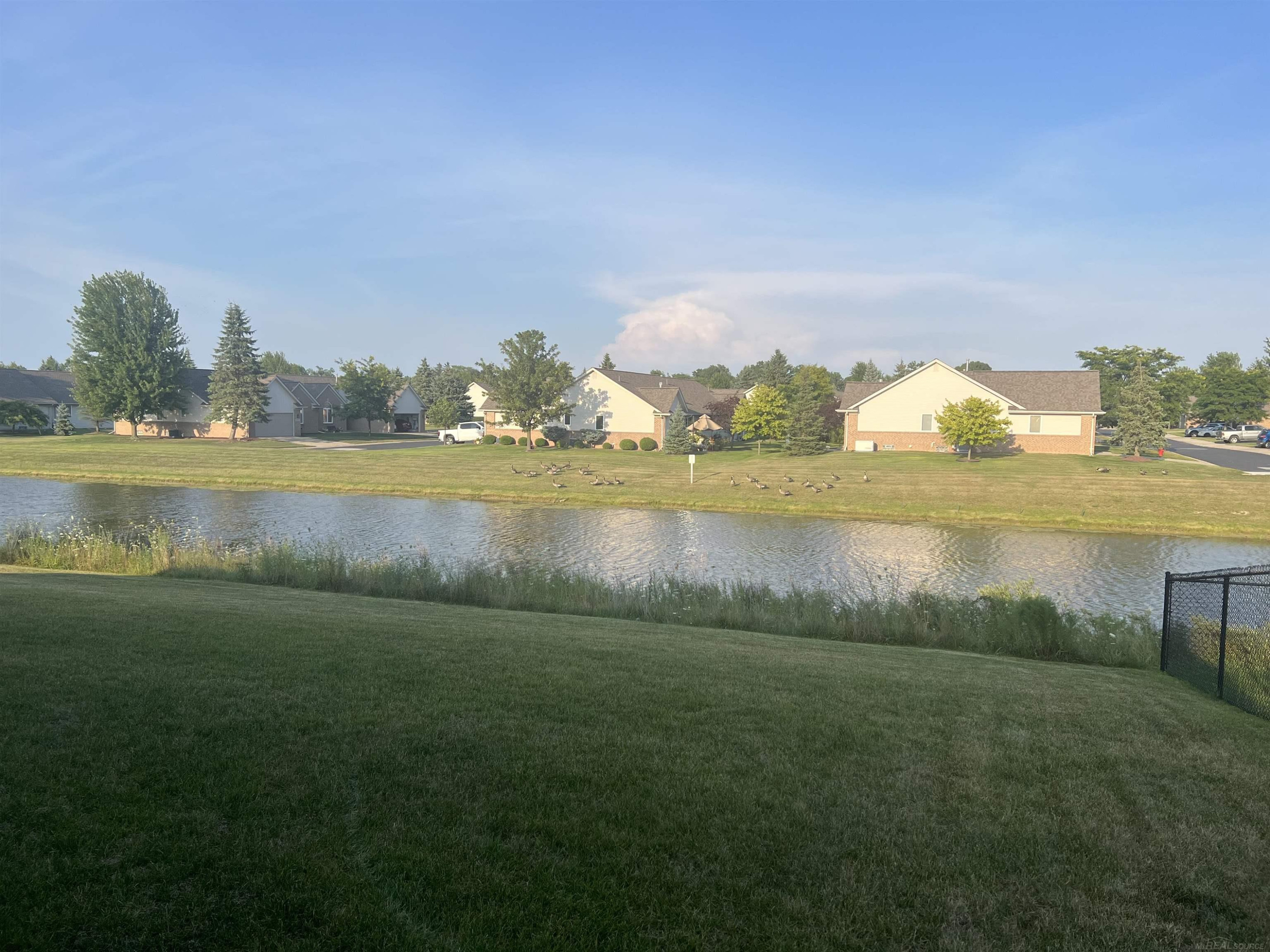 70354 Sunny Brook Lane Lane, Richmond, MI 48062 — Photo 5