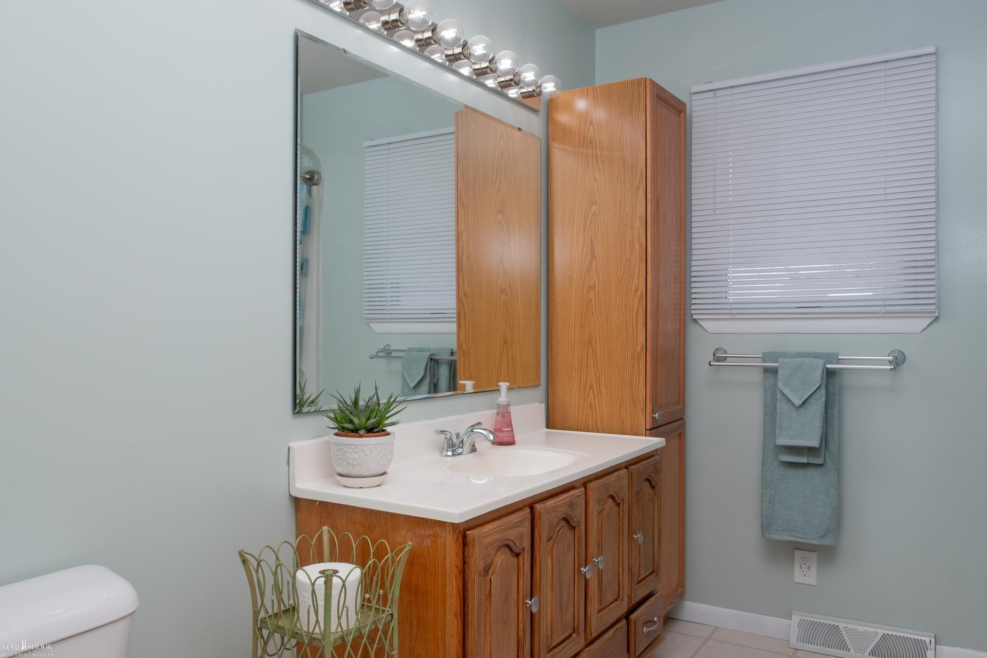 215 Sylvia Drive, Corunna, MI 48817 — Photo 22