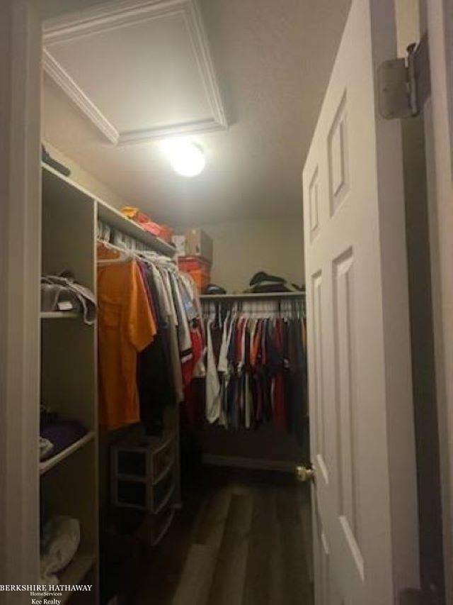 1512 E Gaylord Street, 7, Mount Pleasant, MI 48858 — Photo 10
