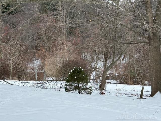 5750 Snay Road, Palms, MI 48465 — Photo 2