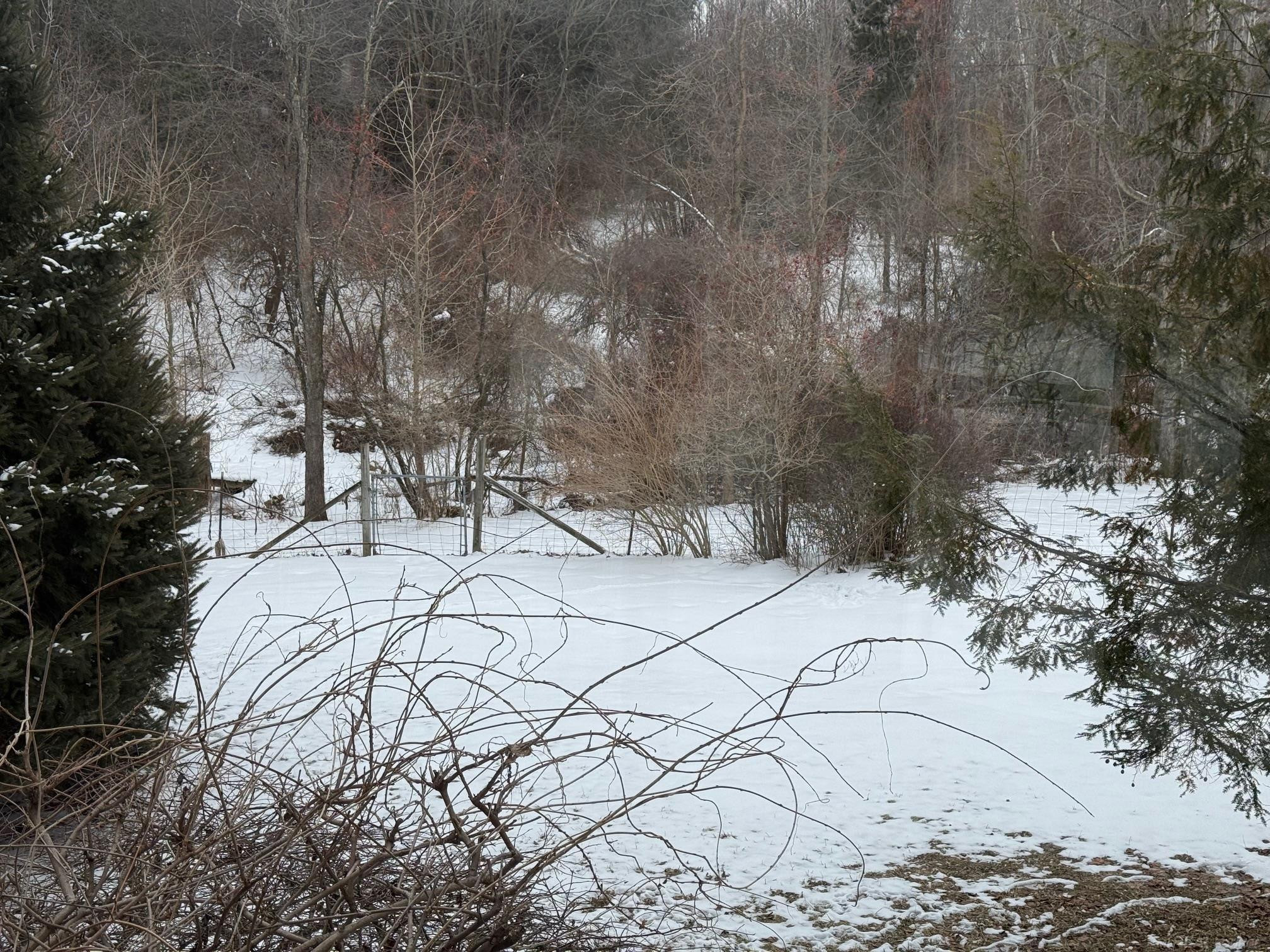 5750 Snay Road, Palms, MI 48465 — Photo 3