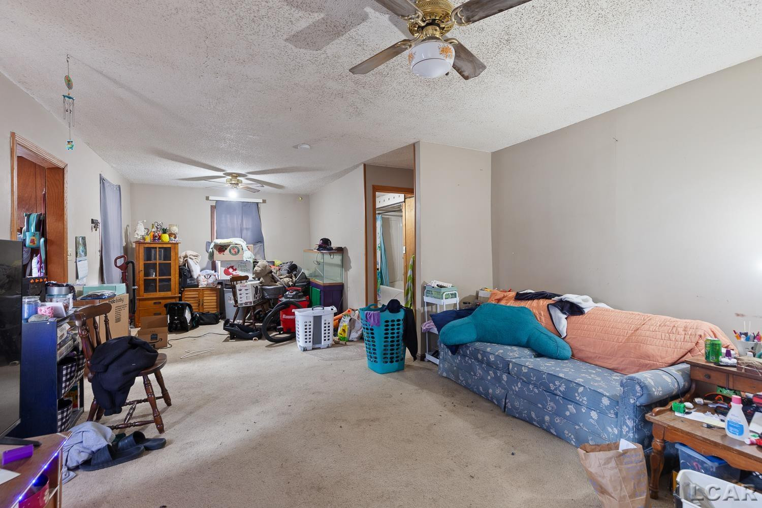 110 Hill Street, Hudson, MI 49247 — Photo 9
