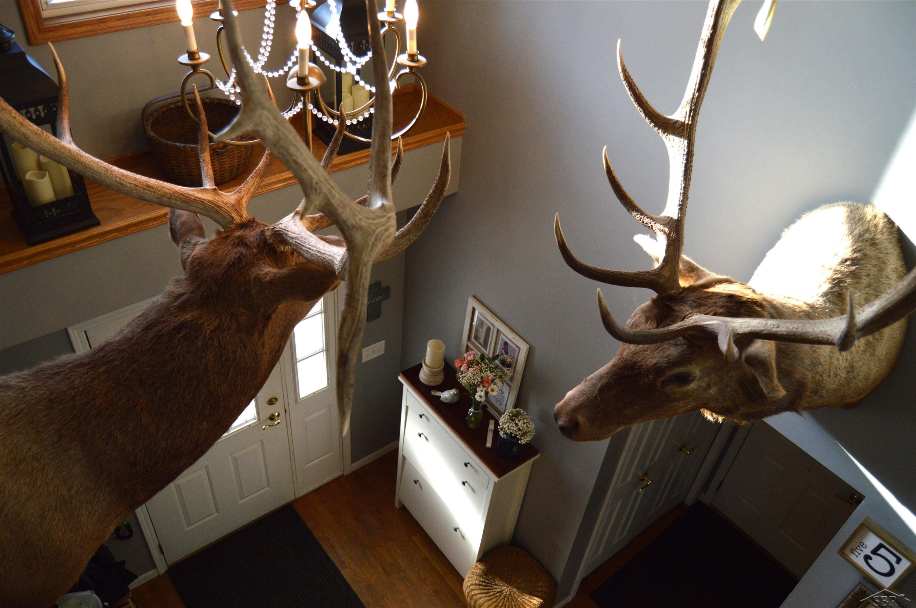 11272 Robin Meadows, Freeland, MI 48623 — Photo 12