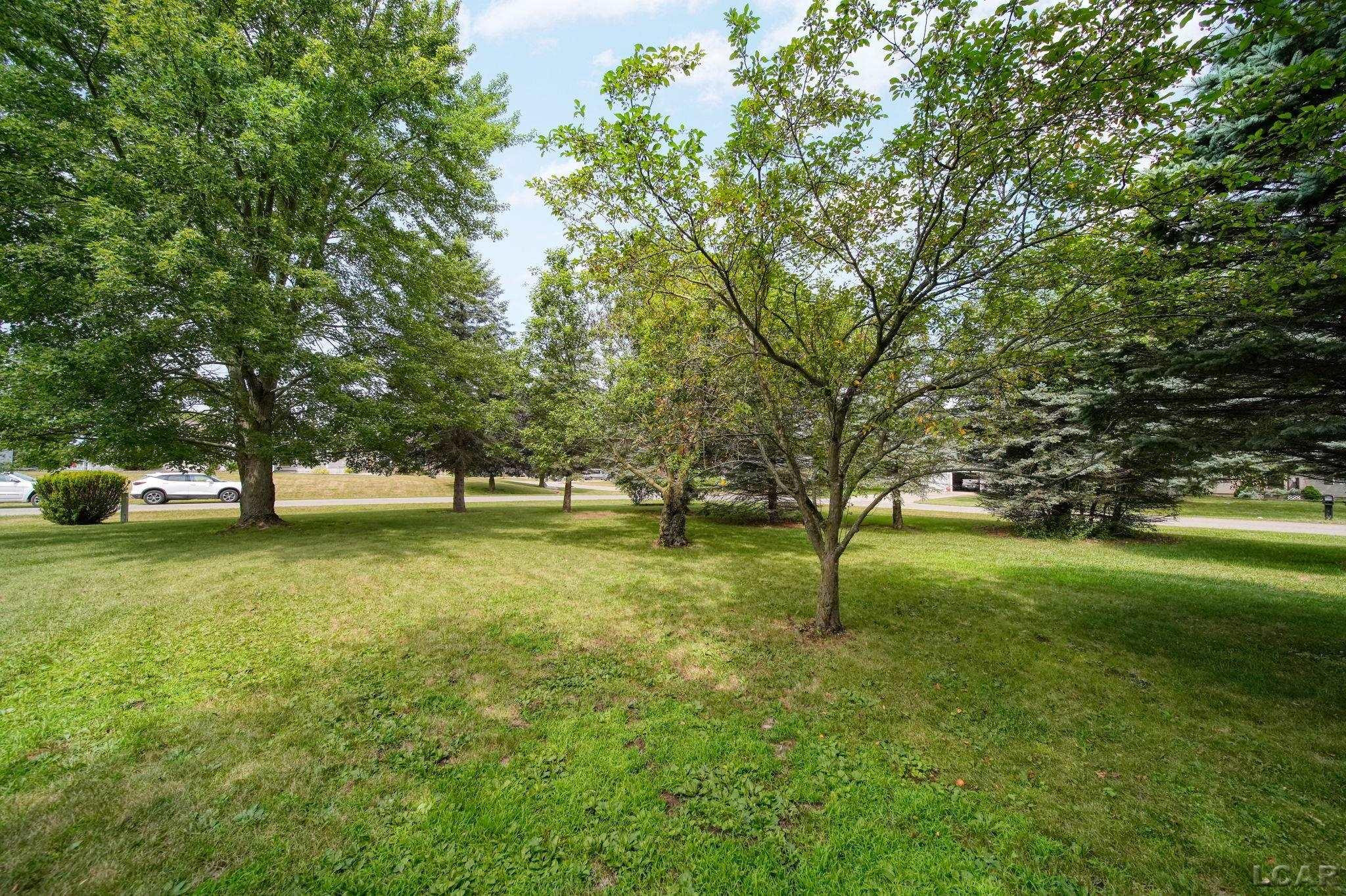 792 Meadowbrook Drive, Hudson, MI 49247 — Photo 45