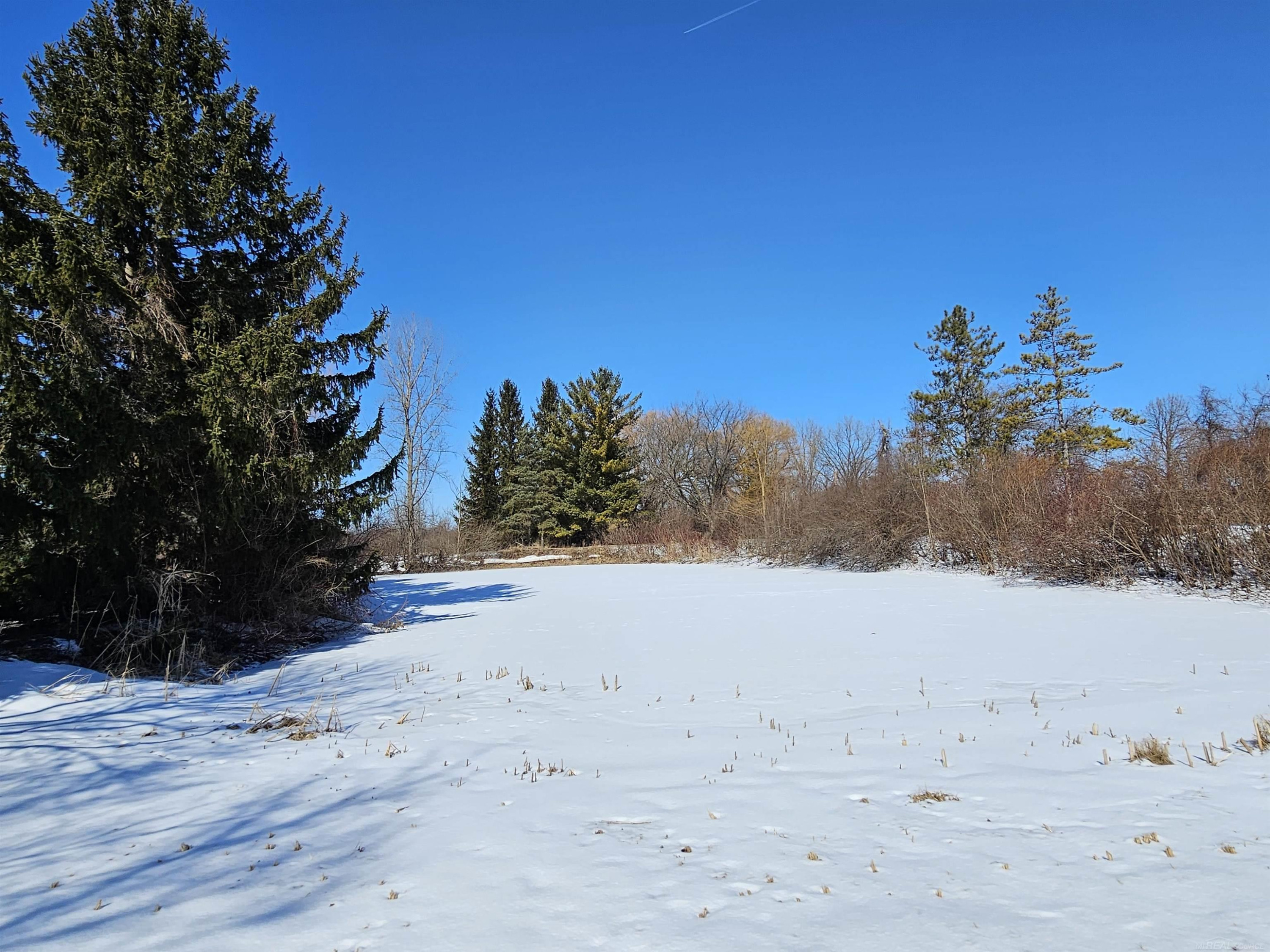 865 Deckerville Road, Deckerville, MI 48427 — Photo 15