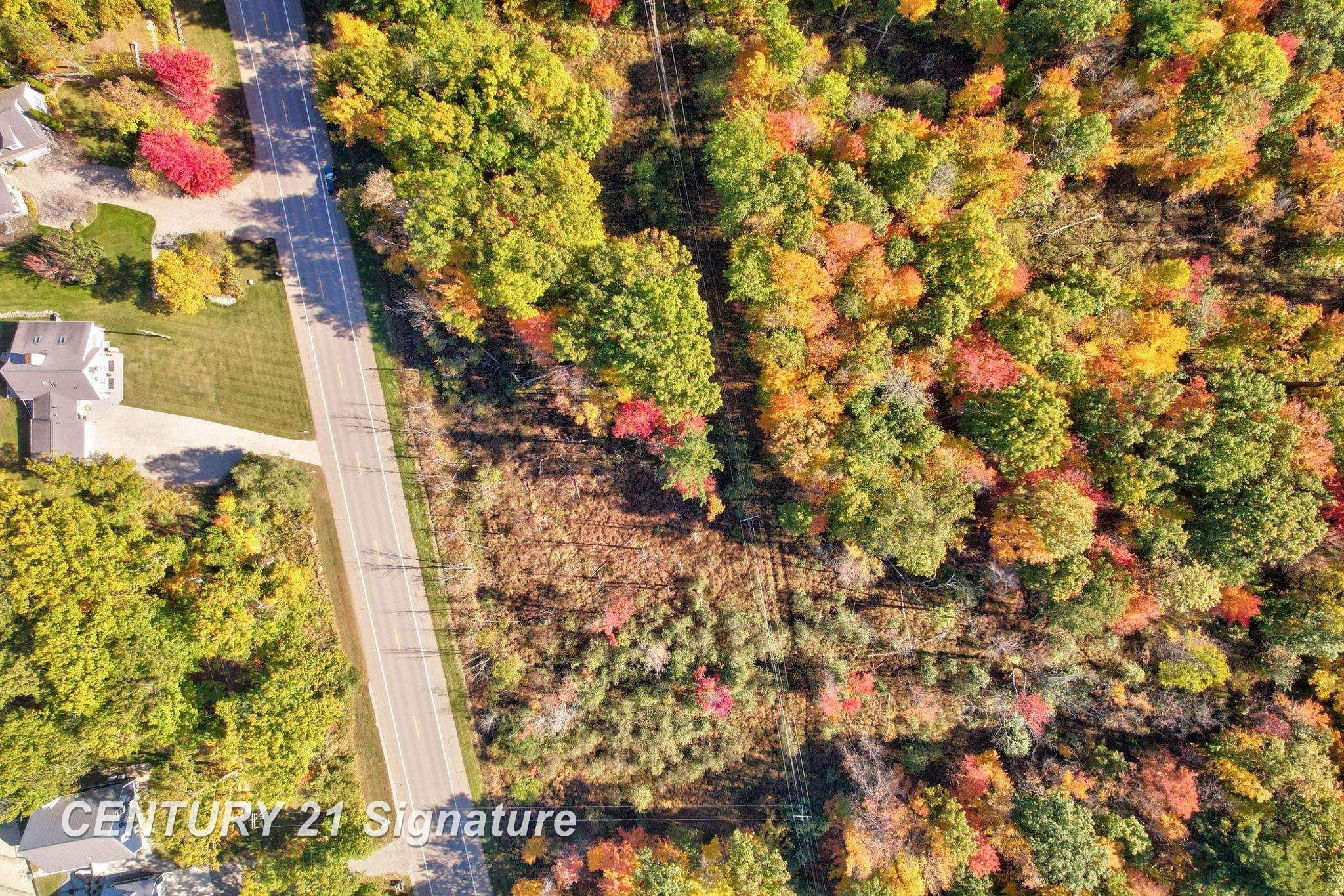 V/L Port Austin Road, Lake, MI 48725 — Photo 4