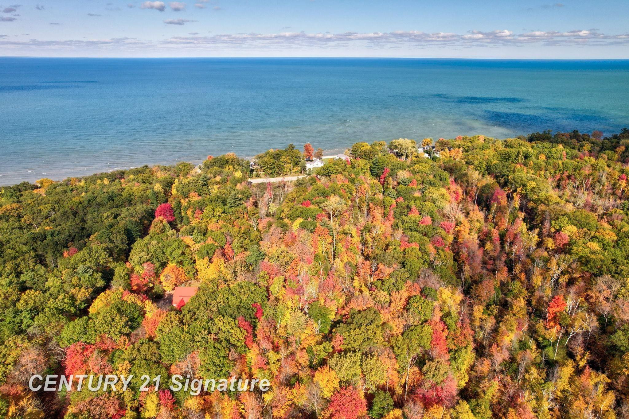 V/L Port Austin Road, Lake, MI 48725 — Photo 7