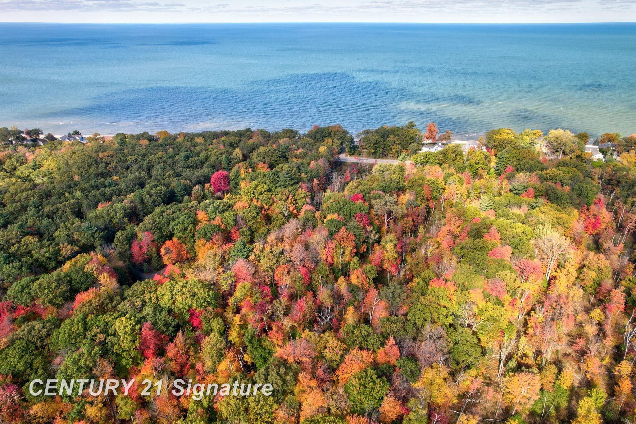V/L Port Austin Road, Lake, MI 48725 — Photo 8