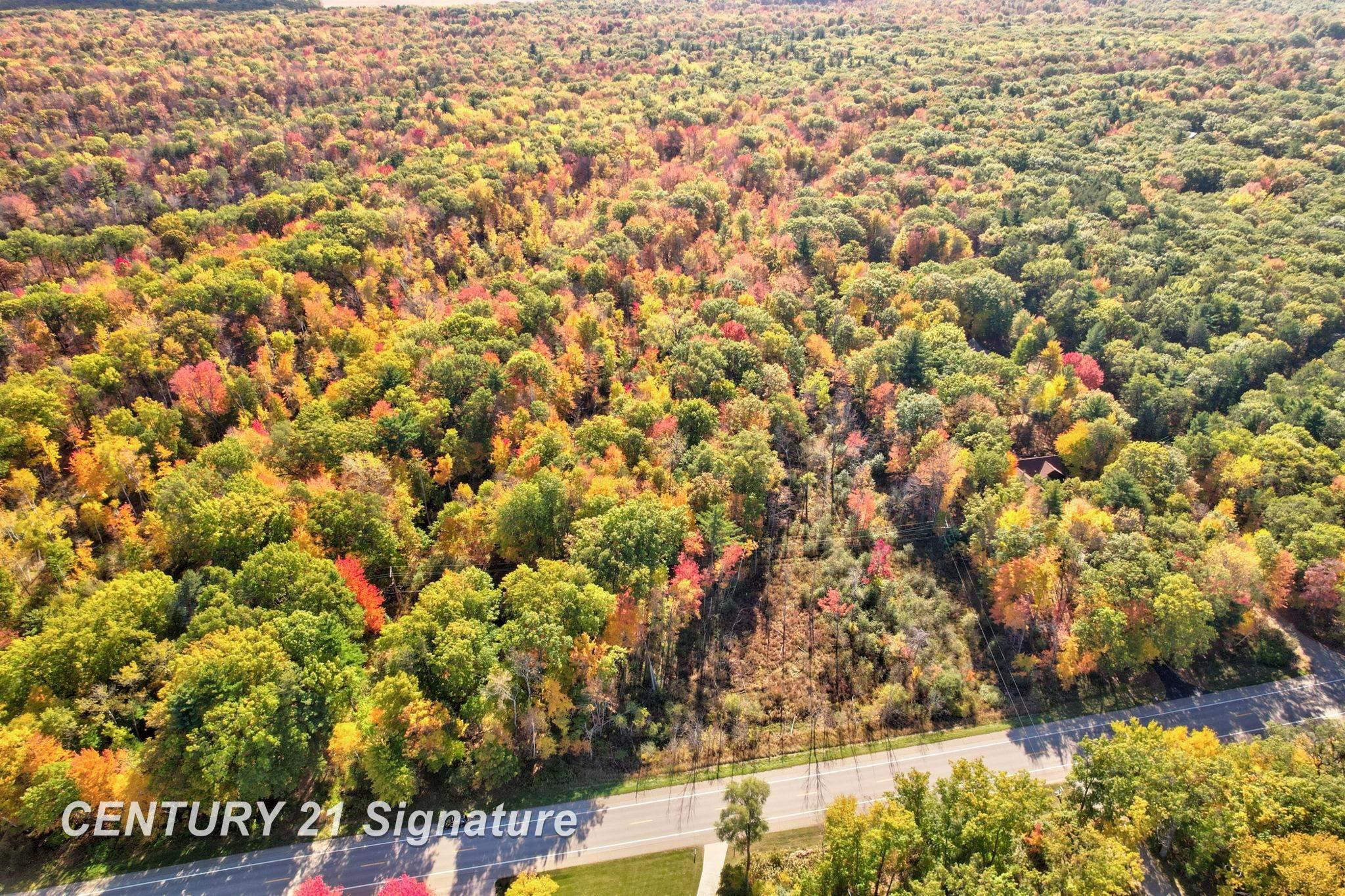 V/L Port Austin Road, Lake, MI 48725 — Photo 13