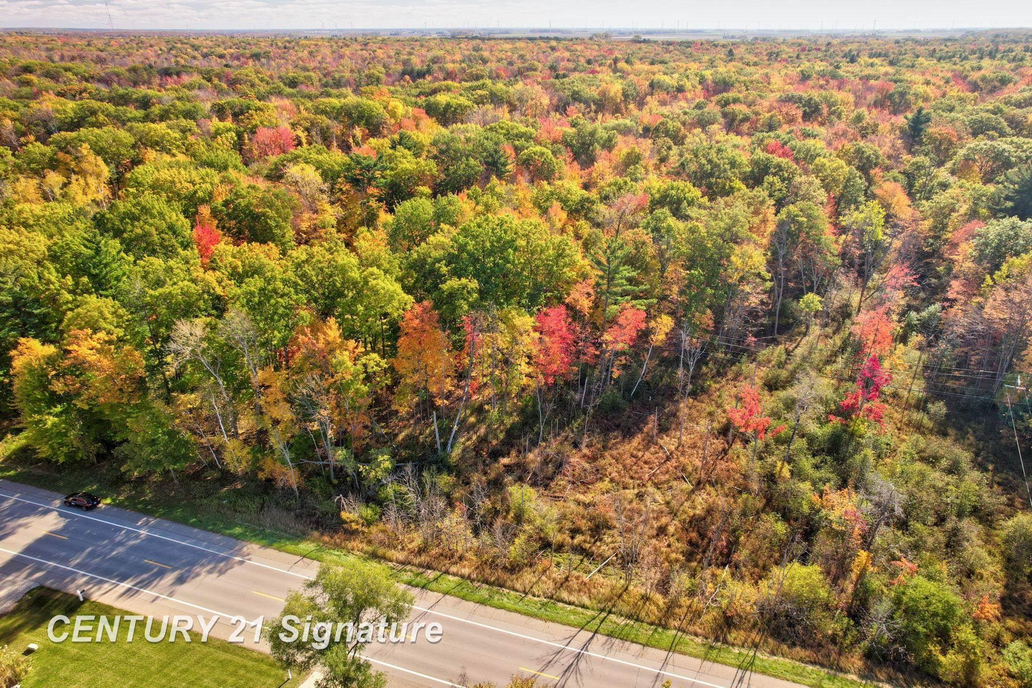 V/L Port Austin Road, Lake, MI 48725 — Photo 14