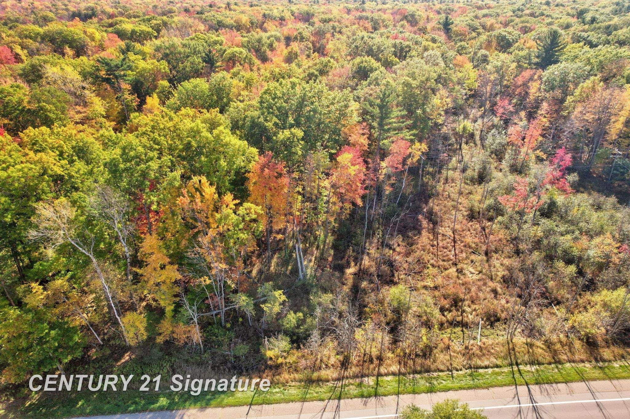 V/L Port Austin Road, Lake, MI 48725 — Photo 15