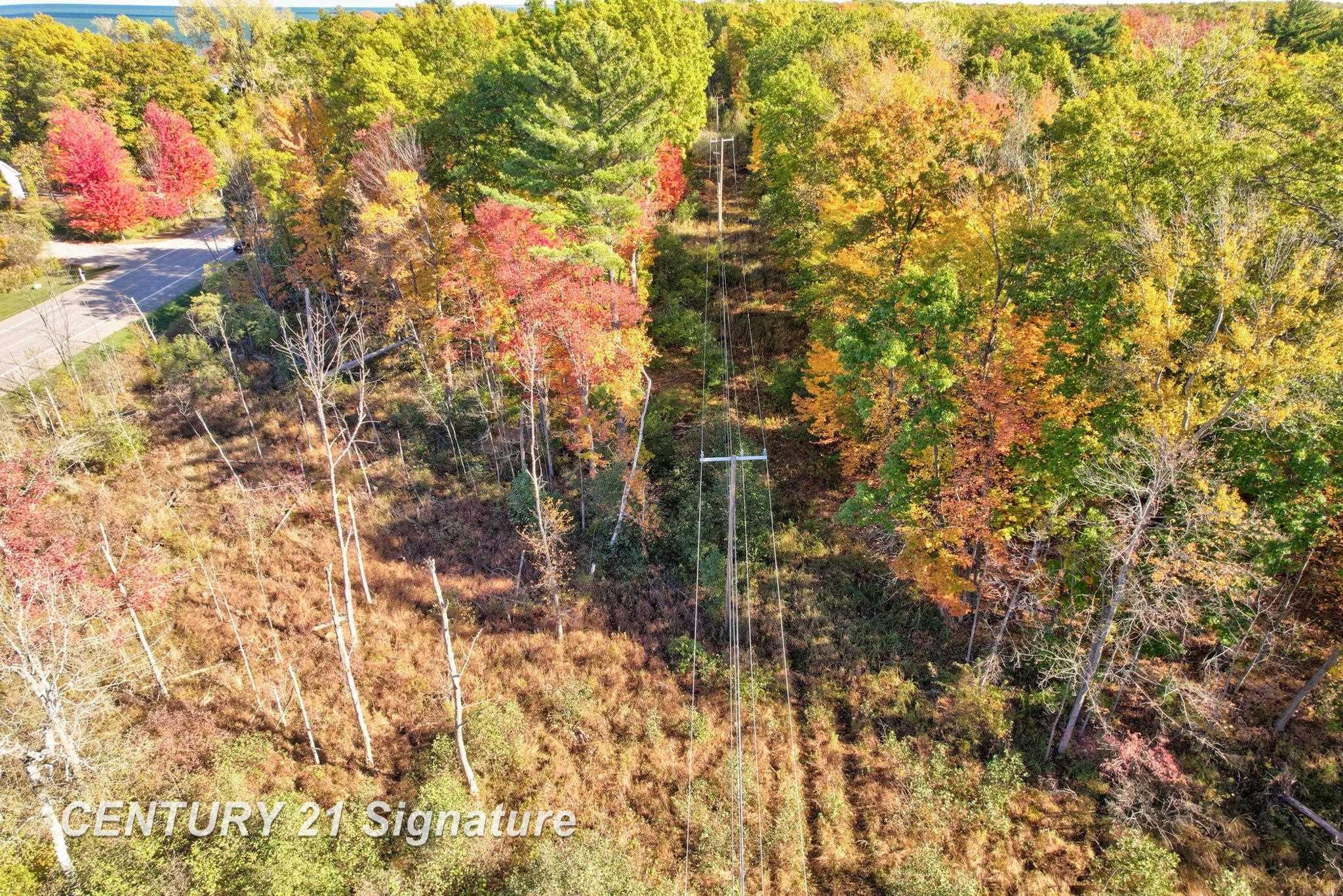 V/L Port Austin Road, Lake, MI 48725 — Photo 16