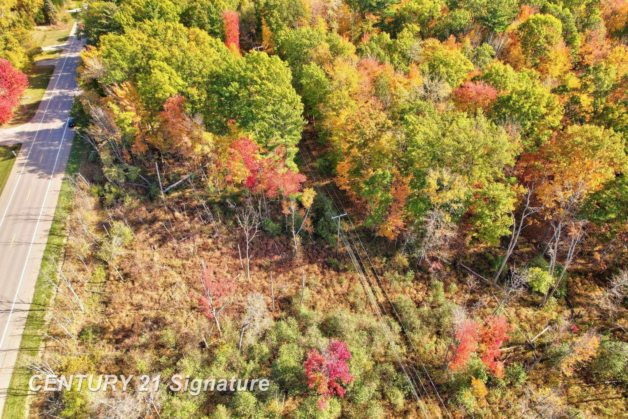 V/L Port Austin Road, Lake, MI 48725 — Photo 19