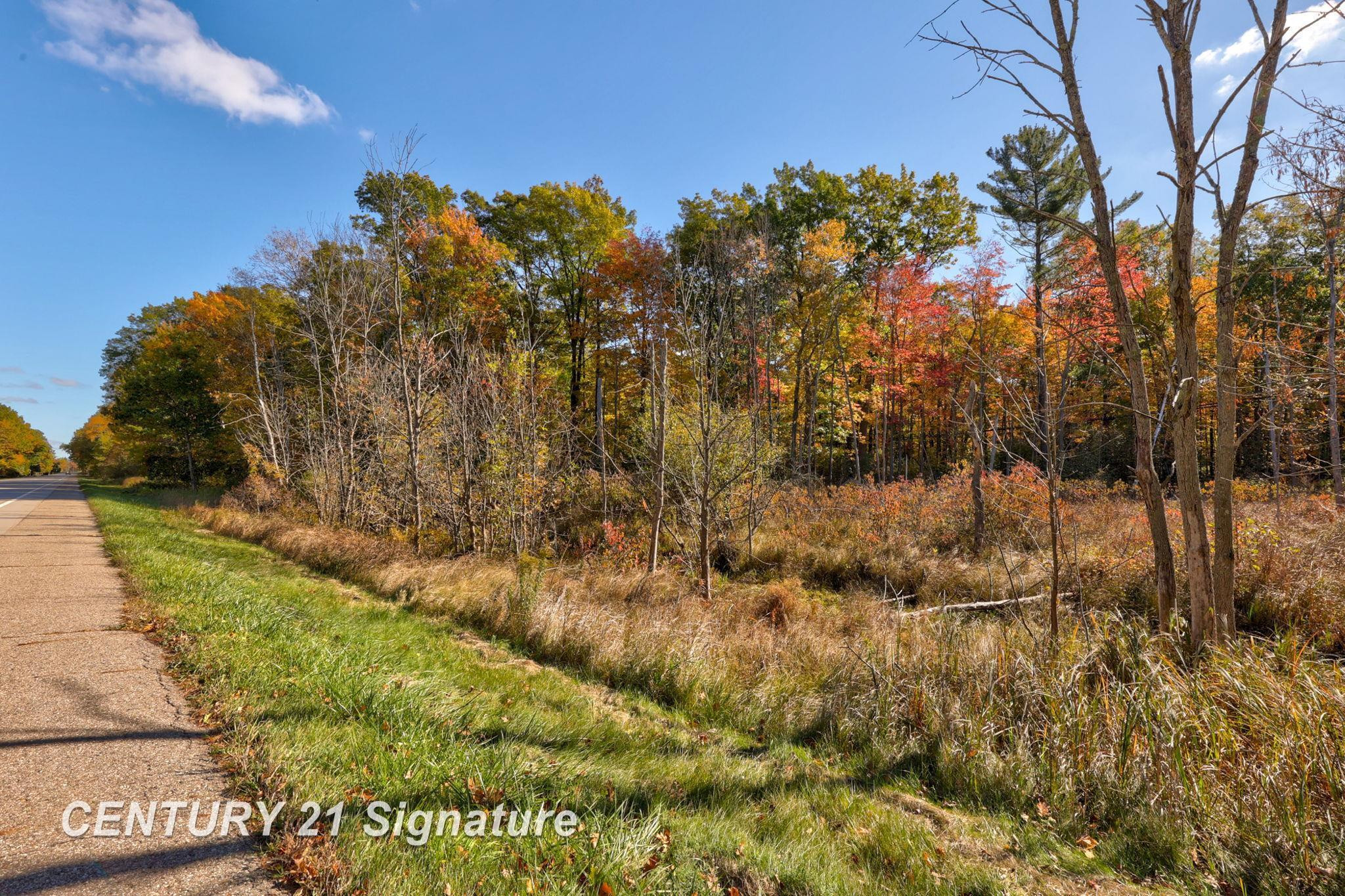 V/L Port Austin Road, Lake, MI 48725 — Photo 20