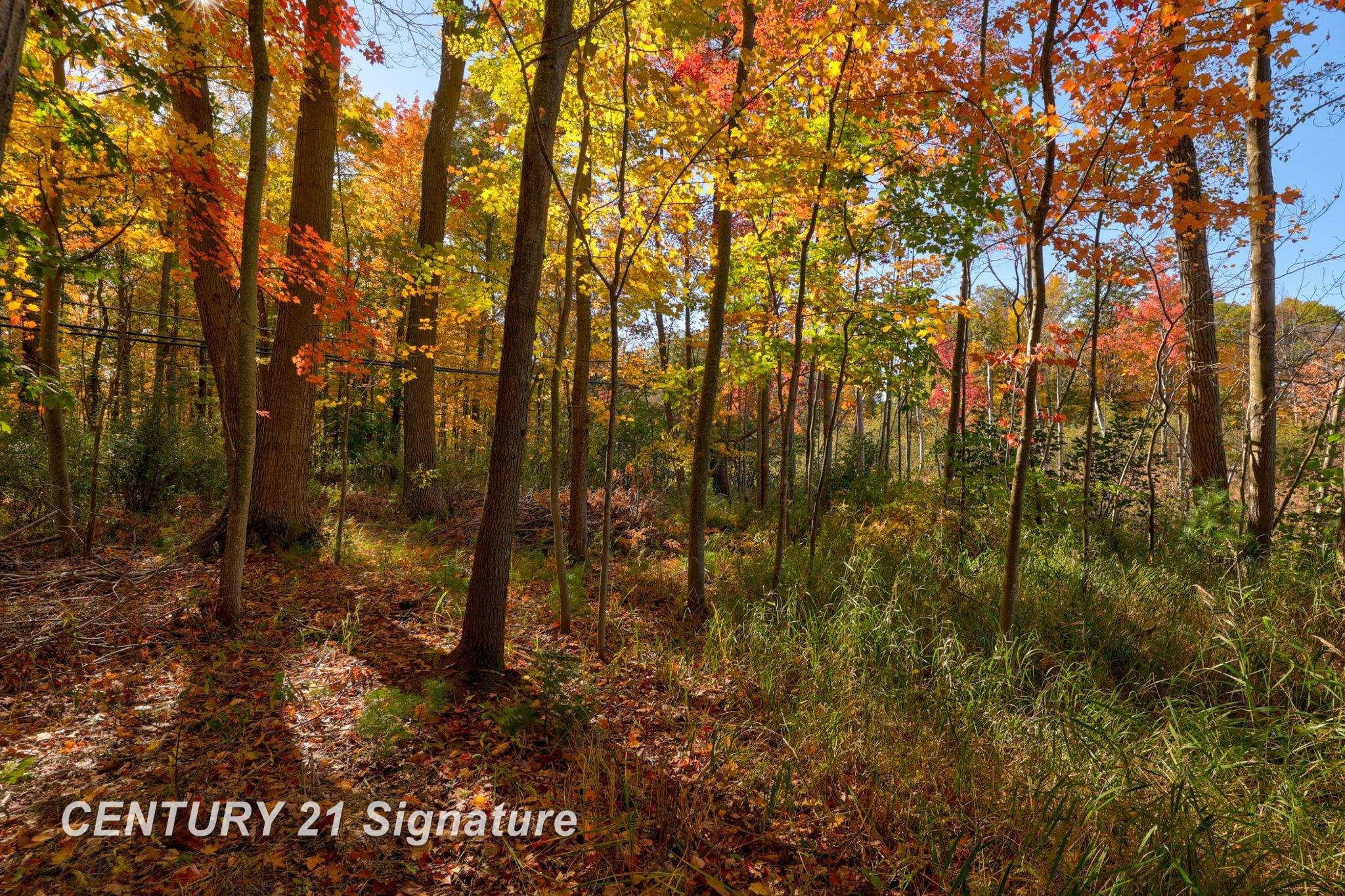 V/L Port Austin Road, Lake, MI 48725 — Photo 21