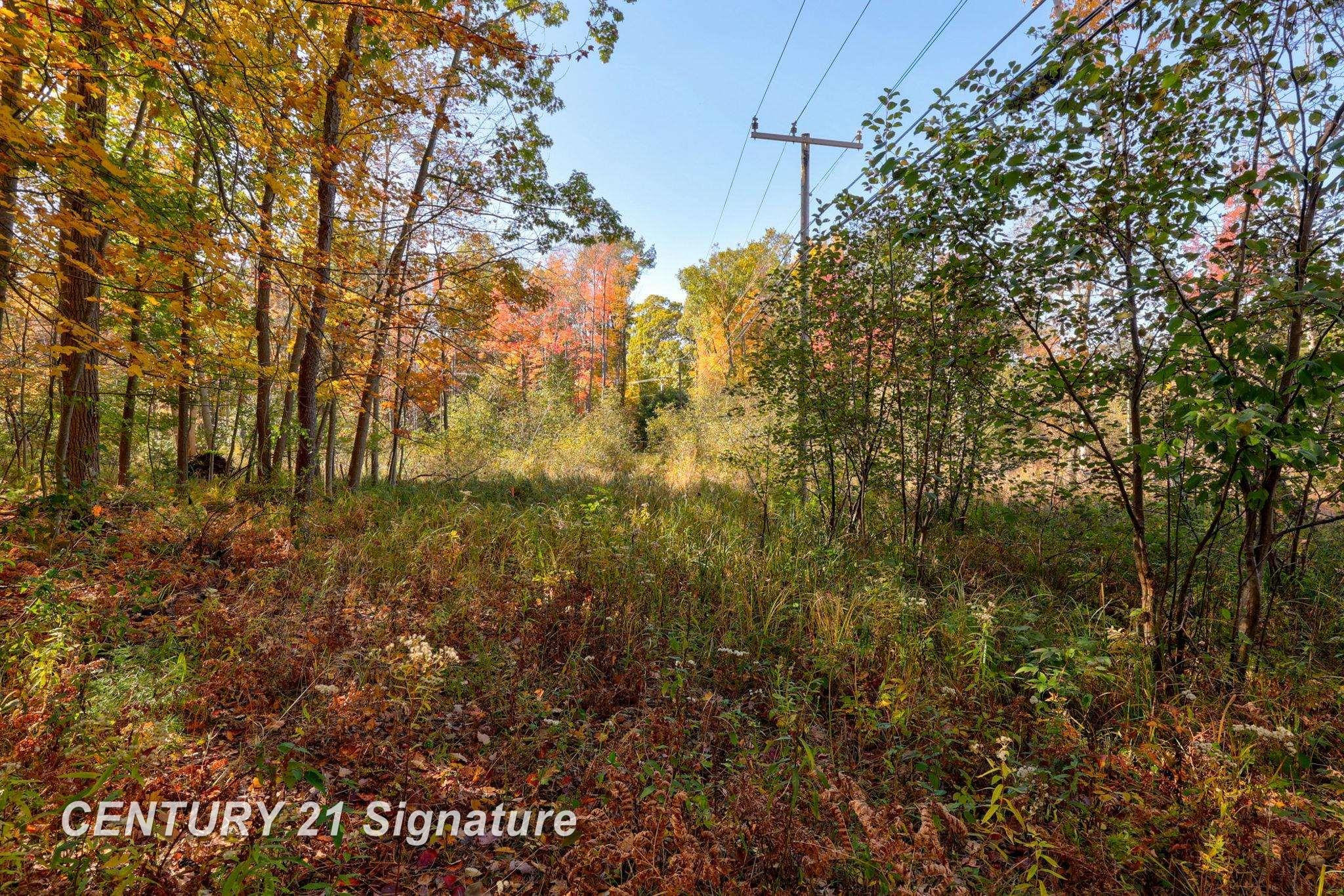 V/L Port Austin Road, Lake, MI 48725 — Photo 22