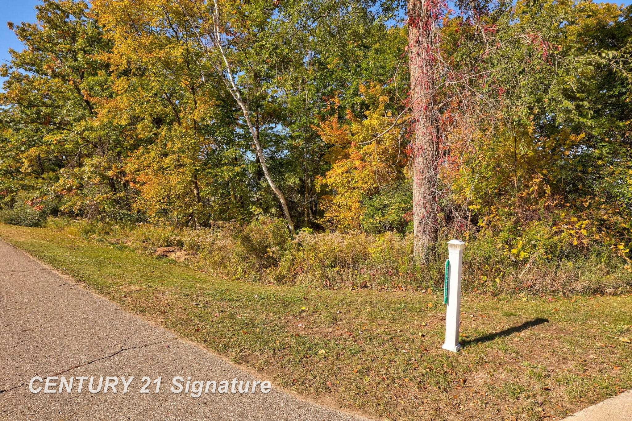 V/L Port Austin Road, Lake, MI 48725 — Photo 24