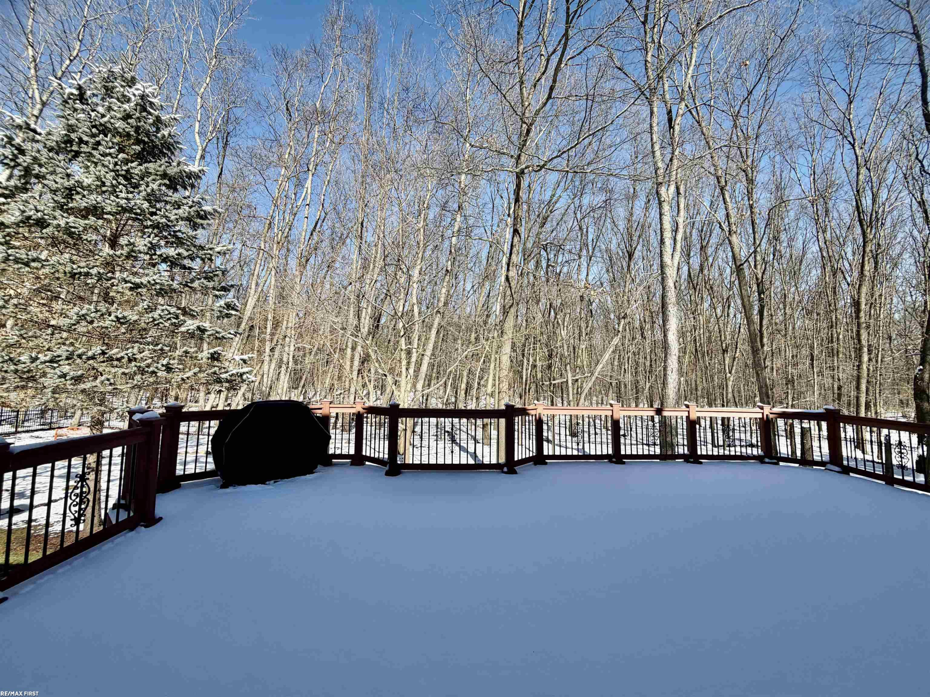 2118 Pine Bluffs Court, Highland, MI — Photo 7