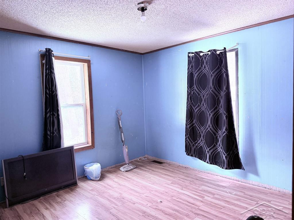 593 W Kessler Court, Sanford, MI 48657 — Photo 14