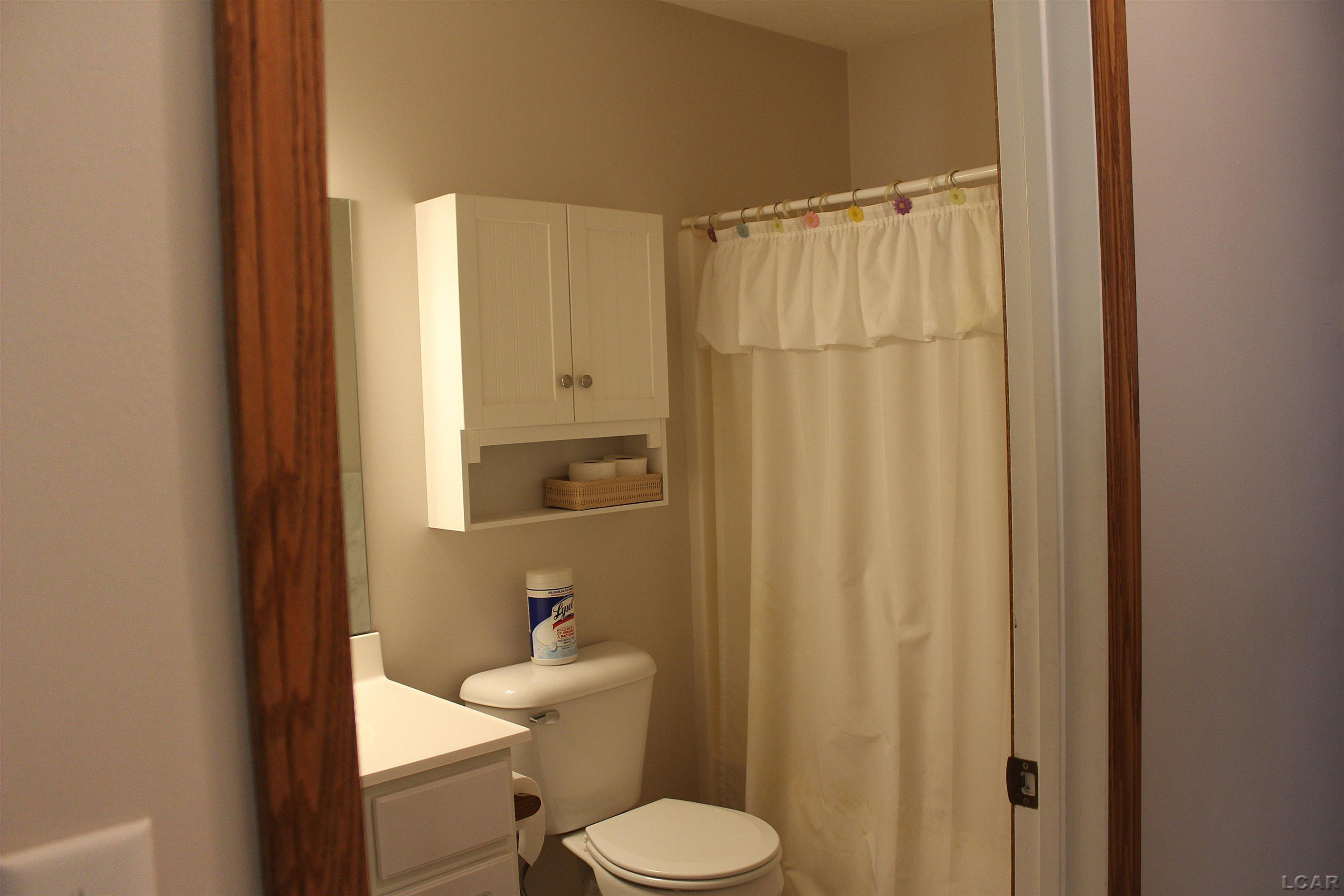 1003 Carriage Drive, Tecumseh, MI 49286 — Photo 11
