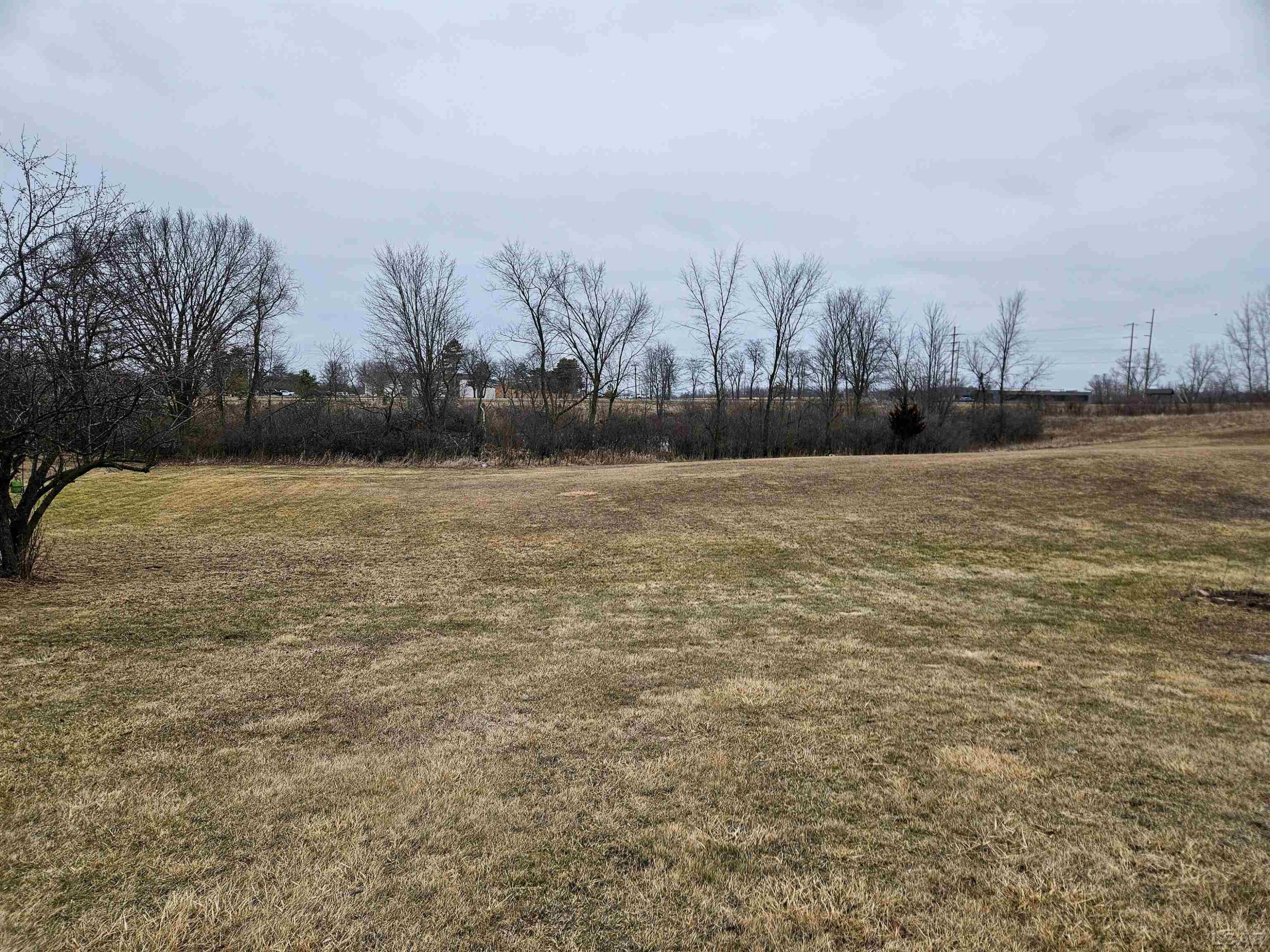 560 State Street, Hudson, MI 49247 — Photo 21