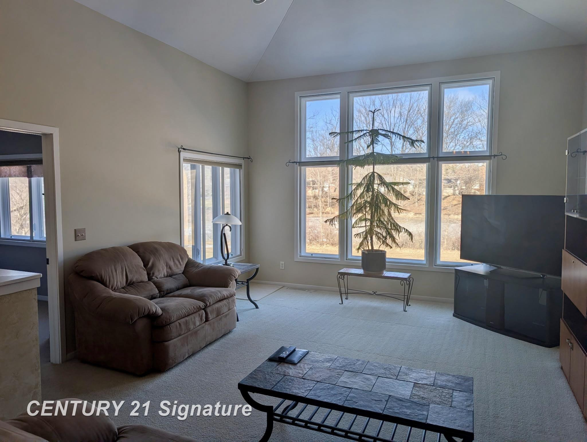 9 Sanctuary Way, Freeland, MI 48623 — Photo 9