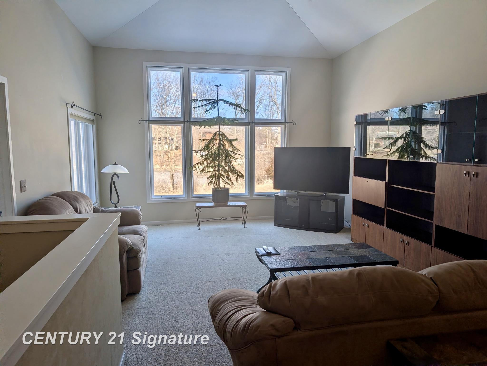 9 Sanctuary Way, Freeland, MI 48623 — Photo 10