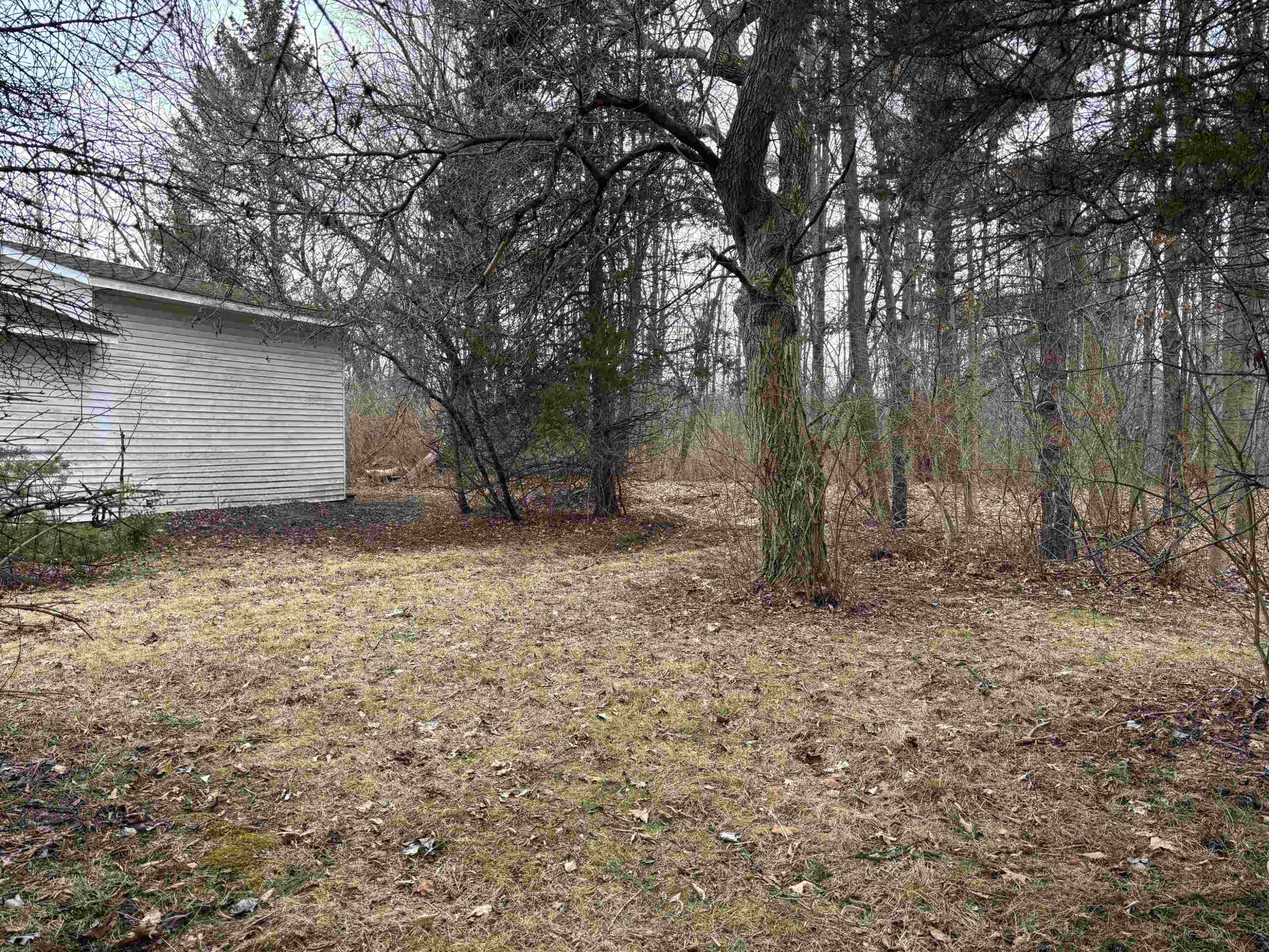 6565 River Road, Flushing, MI 48433 — Photo 5
