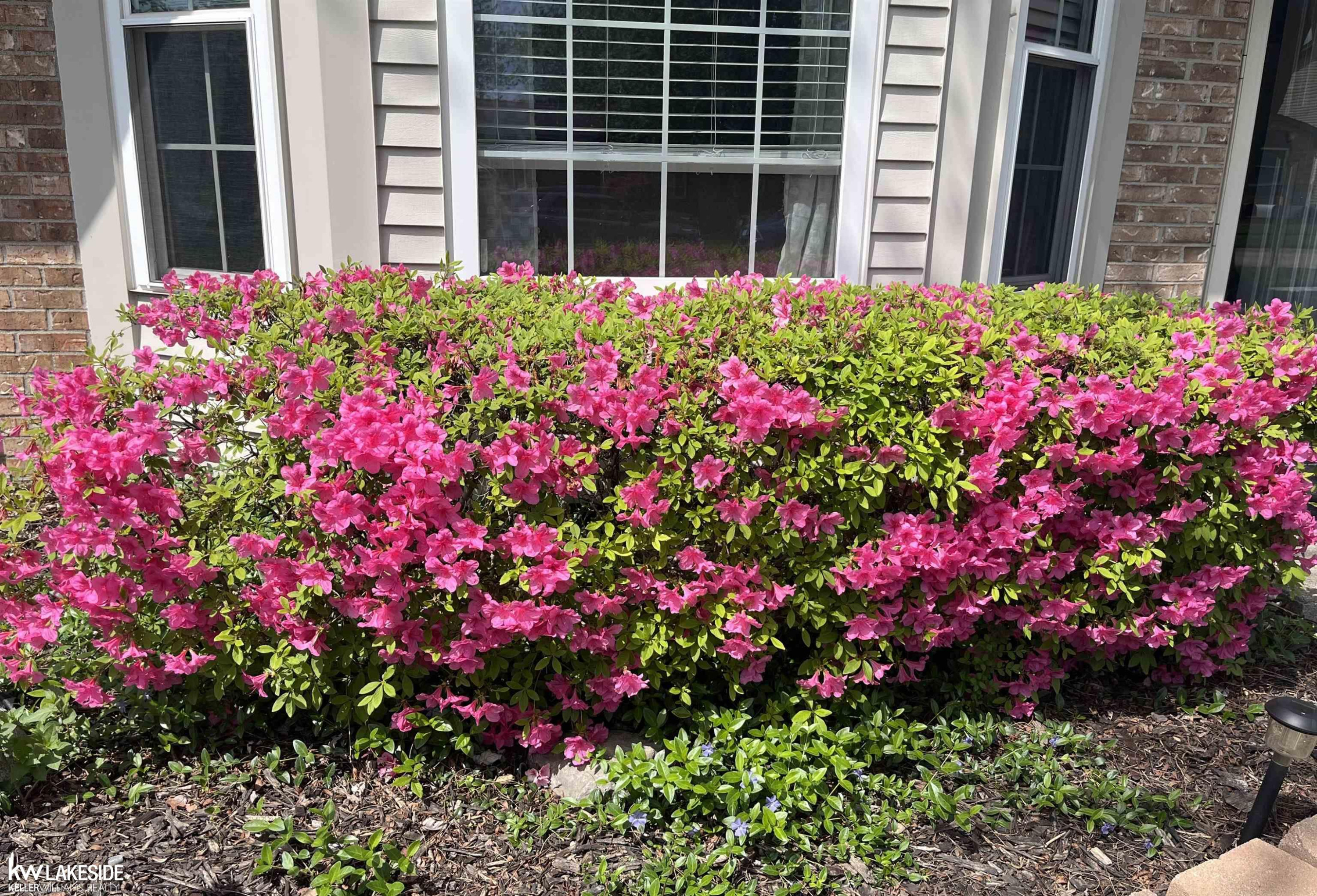 50161 Waterloo, Chesterfield, MI 48047 — Photo 29