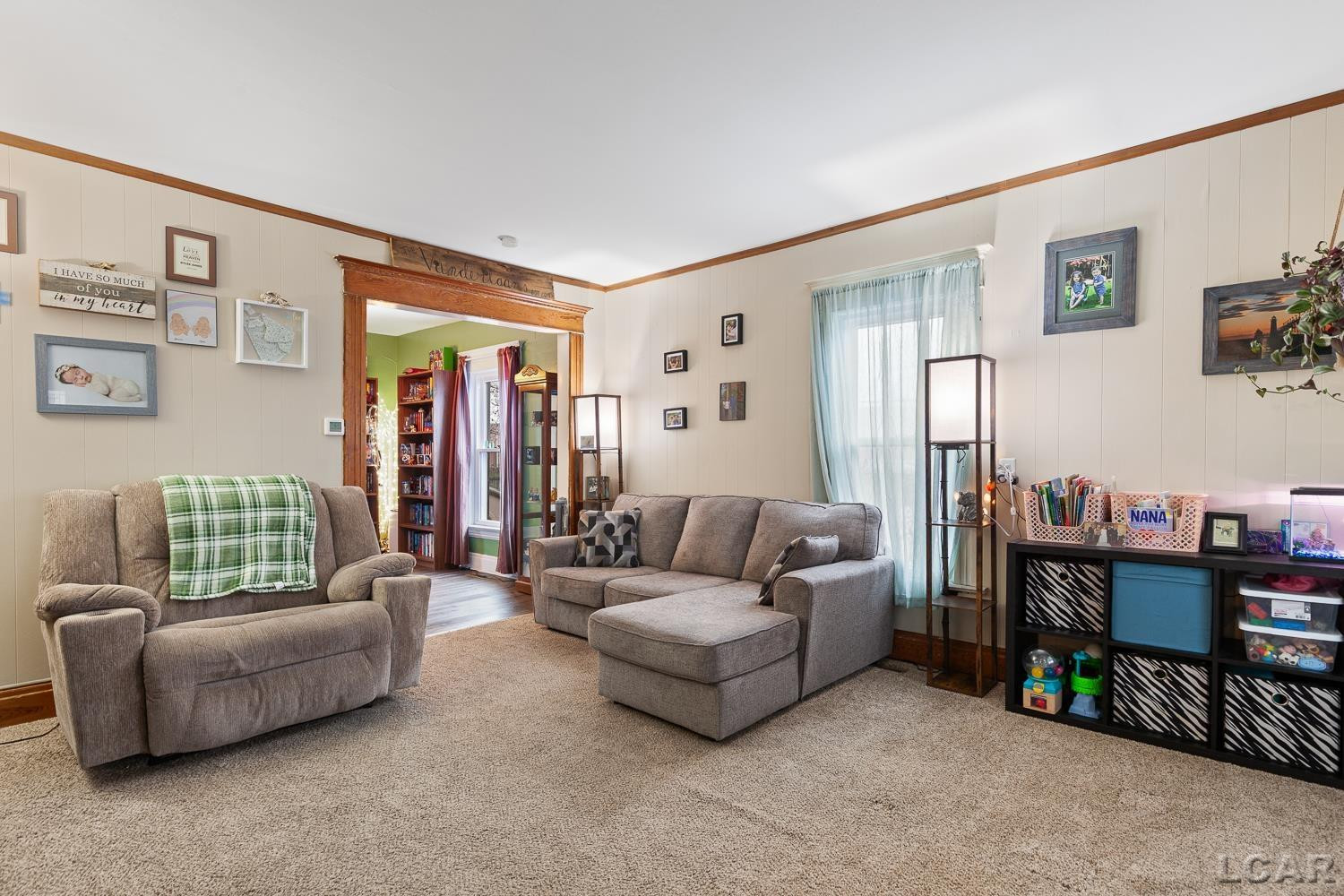 223 Cherry Street, Blissfield, MI 49228 — Photo 13