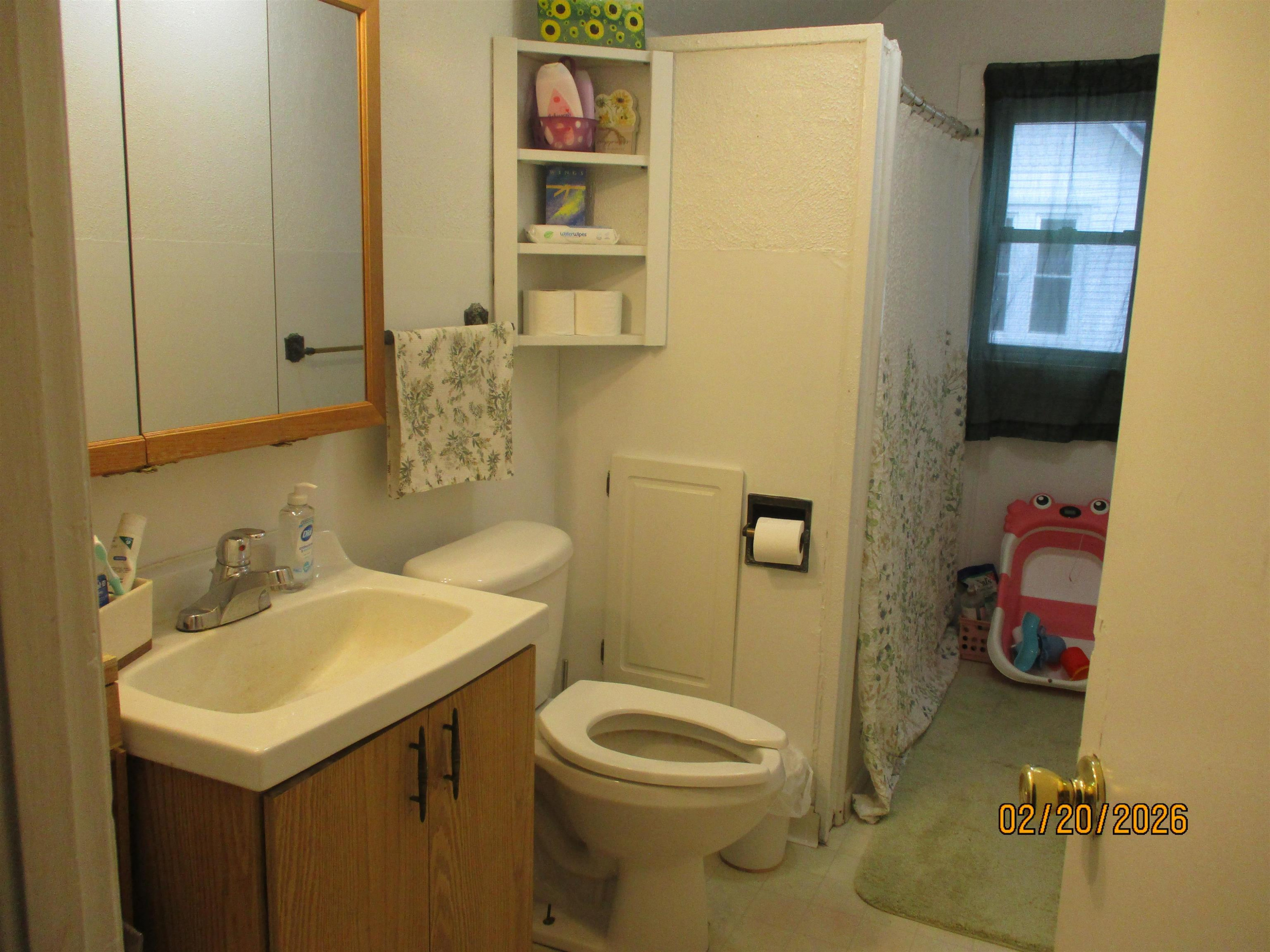 242 S East Street, Vassar, MI 48768 — Photo 8
