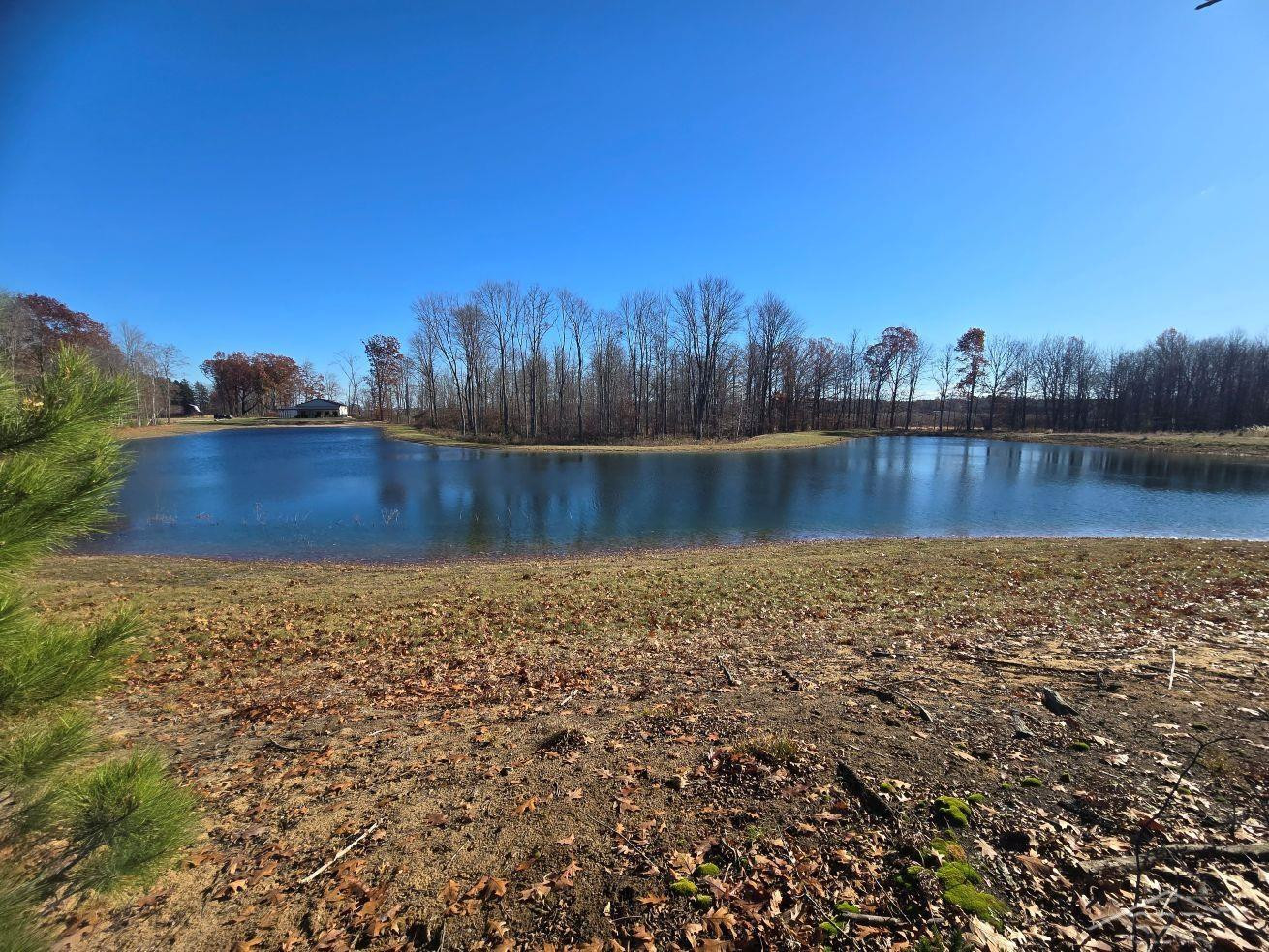 12465 Fergus Road, Saint Charles, MI 48655 — Photo 5
