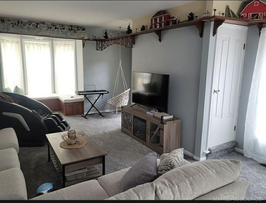 7127 Lake Street, Lexington, MI 48450 — Photo 5