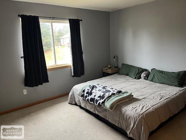 24381 Juliet Drive, Center Line, MI 48015 — Photo 12