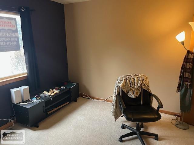 24381 Juliet Drive, Center Line, MI 48015 — Photo 13