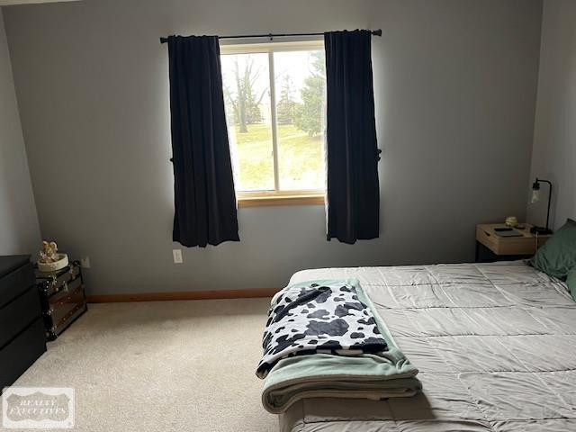 24381 Juliet Drive, Center Line, MI 48015 — Photo 14