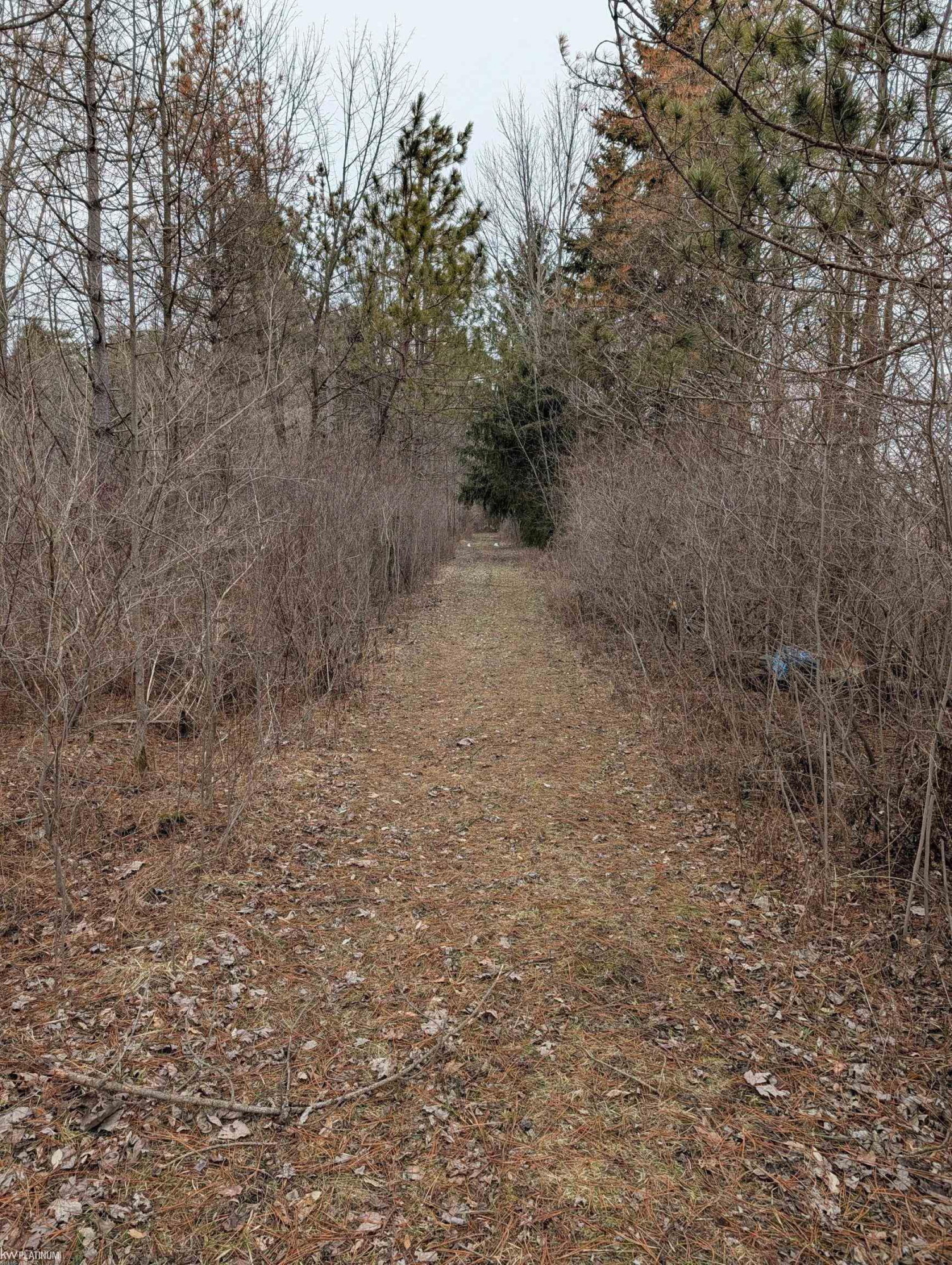 9072 Green Road, Wales, MI — Photo 39