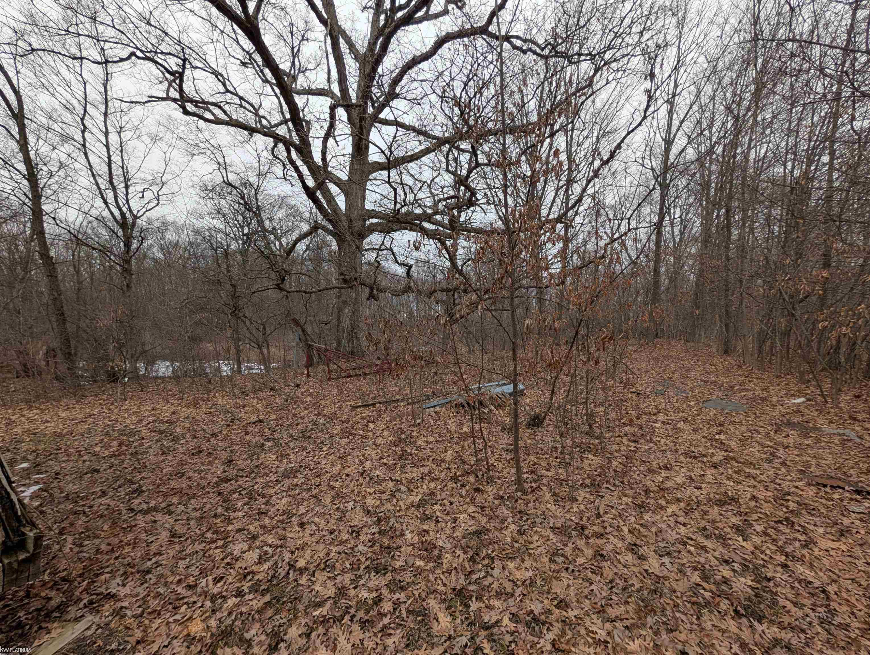 9072 Green Road, Wales, MI — Photo 40