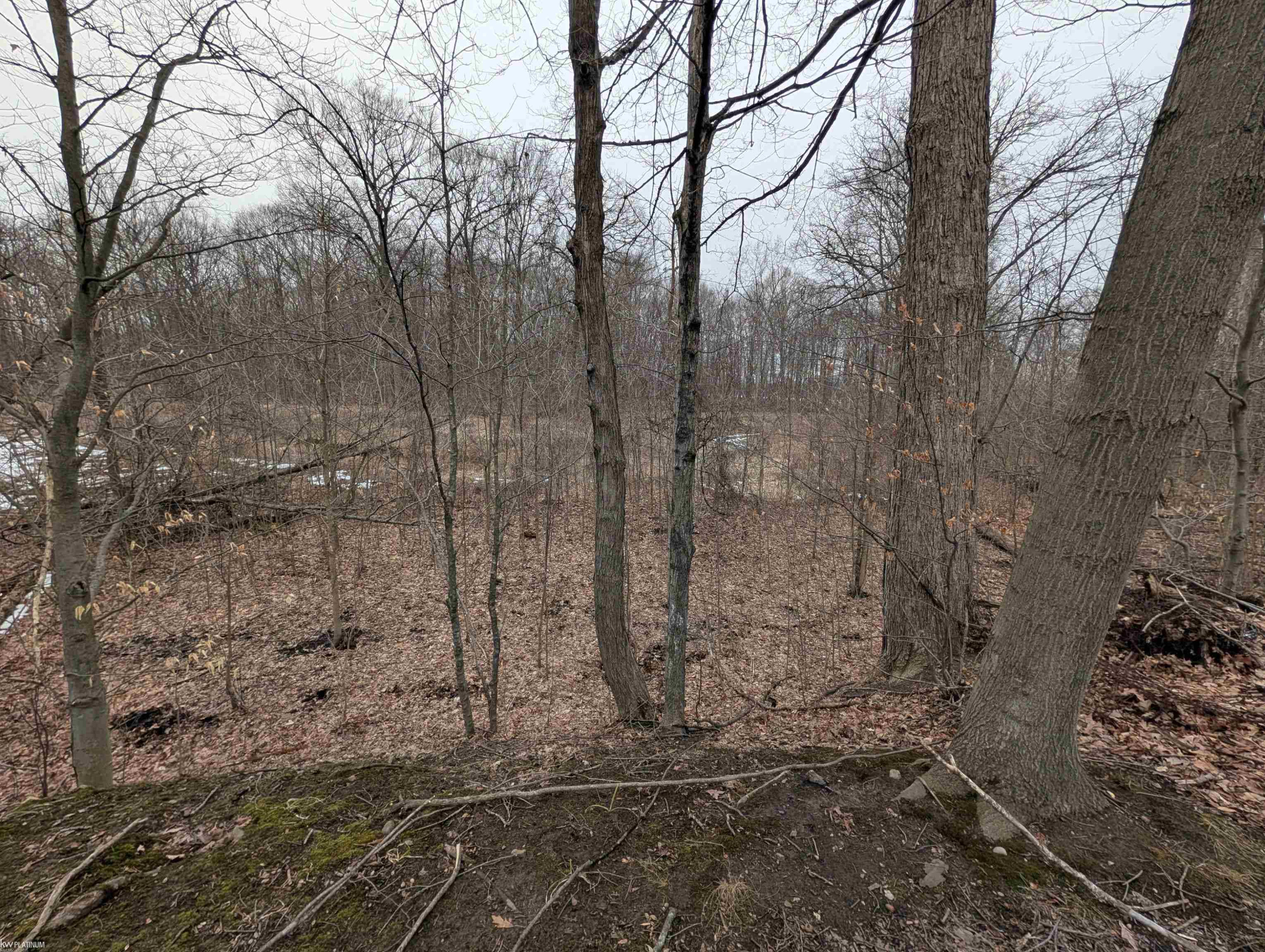 9072 Green Road, Wales, MI — Photo 41