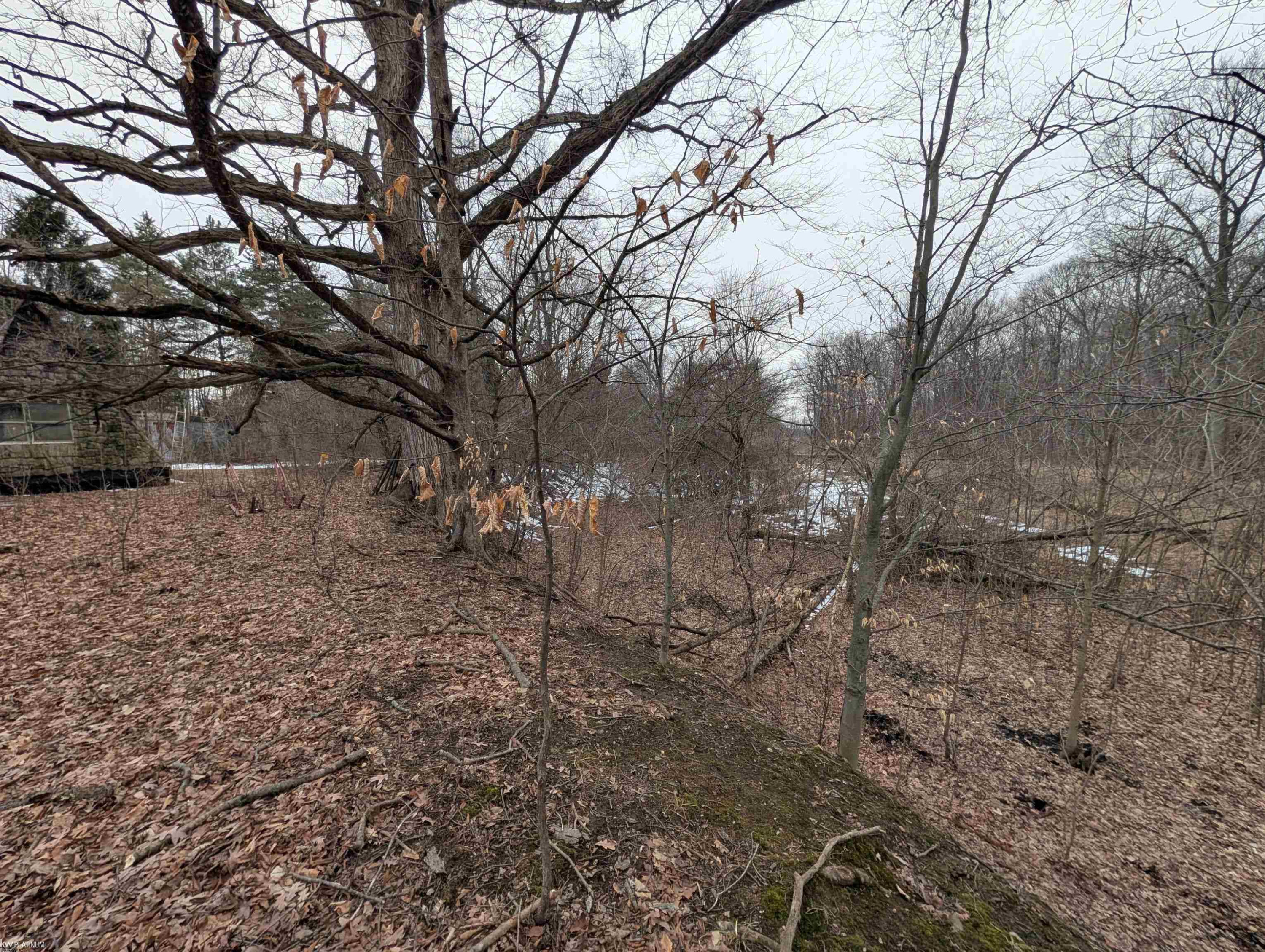 9072 Green Road, Wales, MI — Photo 42