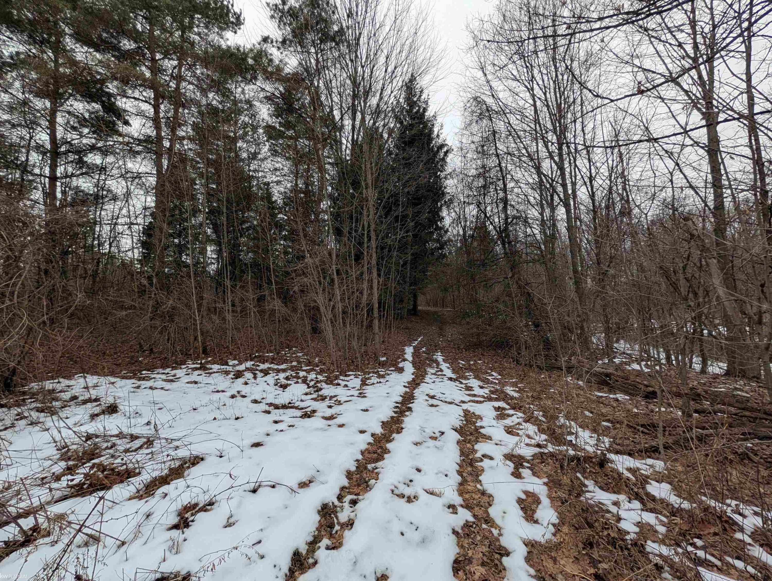 9072 Green Road, Wales, MI — Photo 43