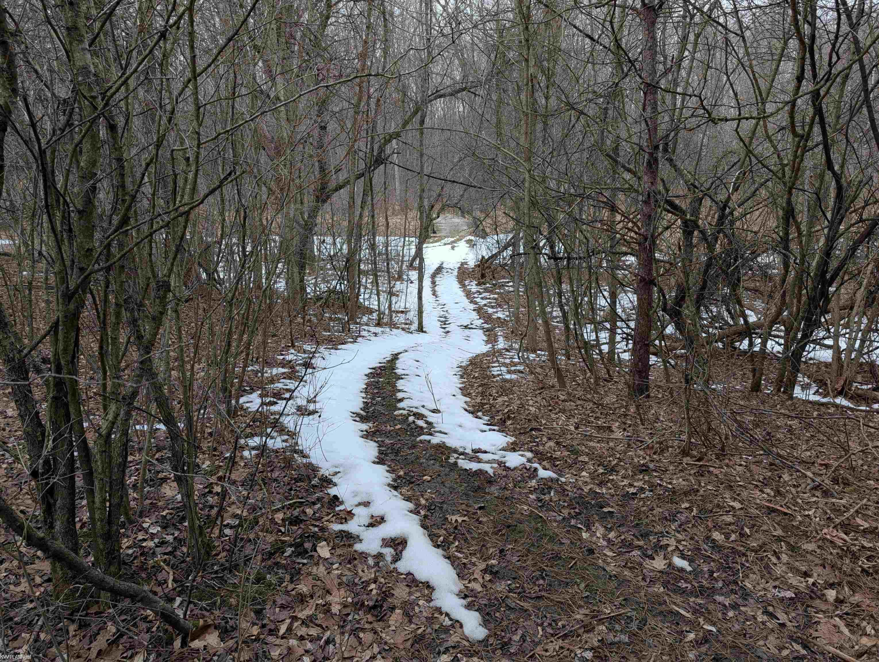 9072 Green Road, Wales, MI — Photo 44