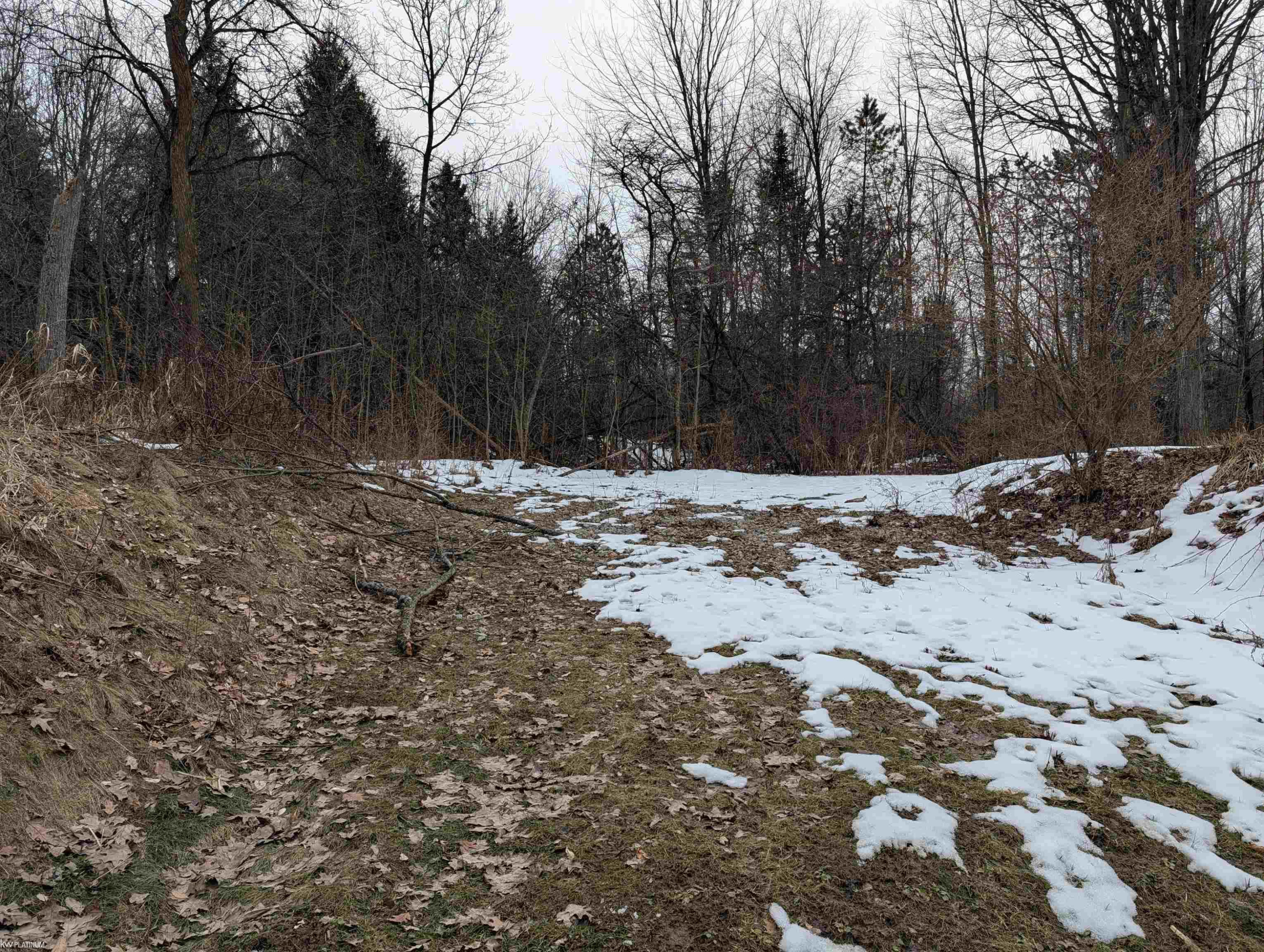 9072 Green Road, Wales, MI — Photo 50