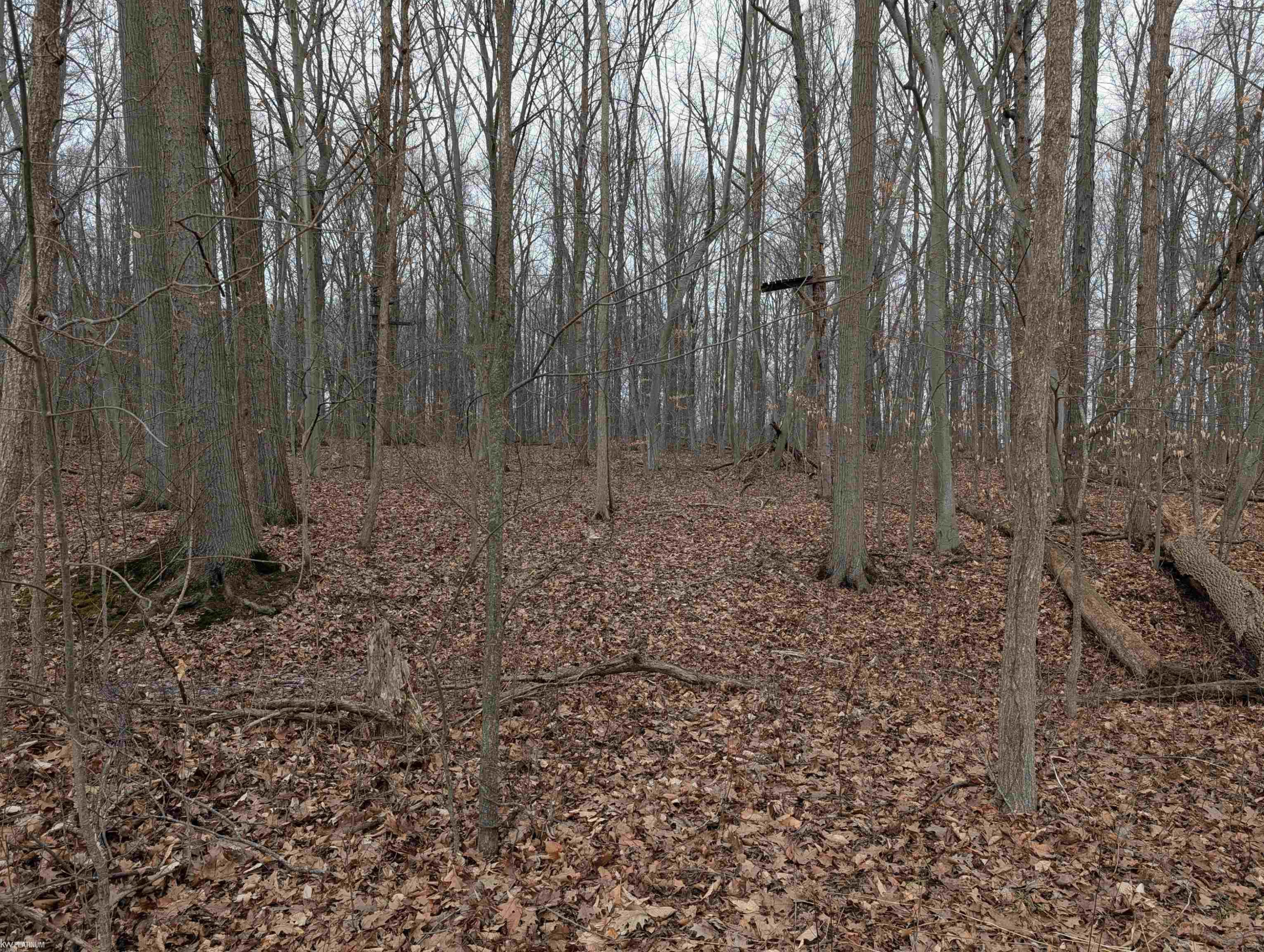 9072 Green Road, Wales, MI — Photo 56