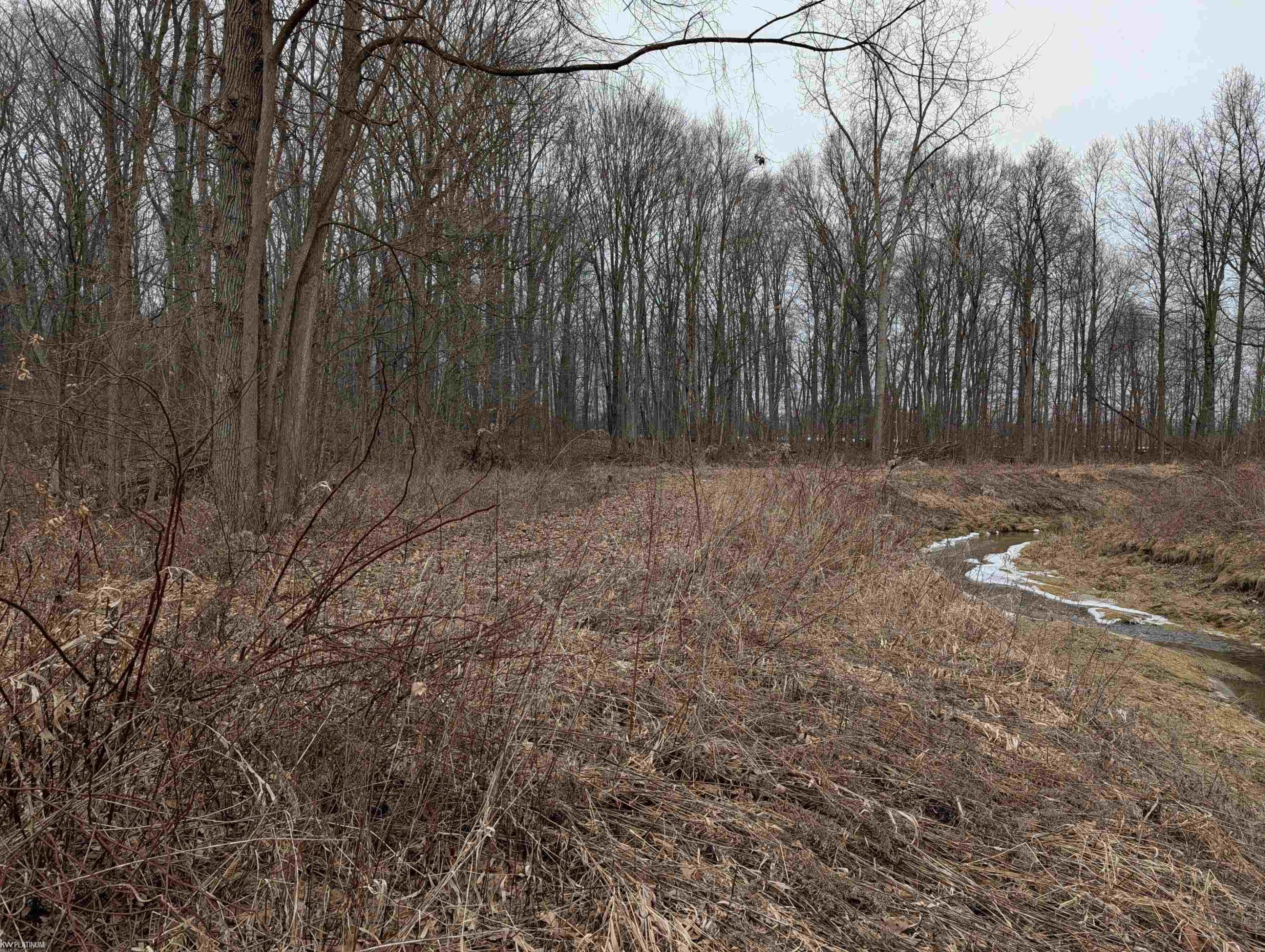 9072 Green Road, Wales, MI — Photo 60