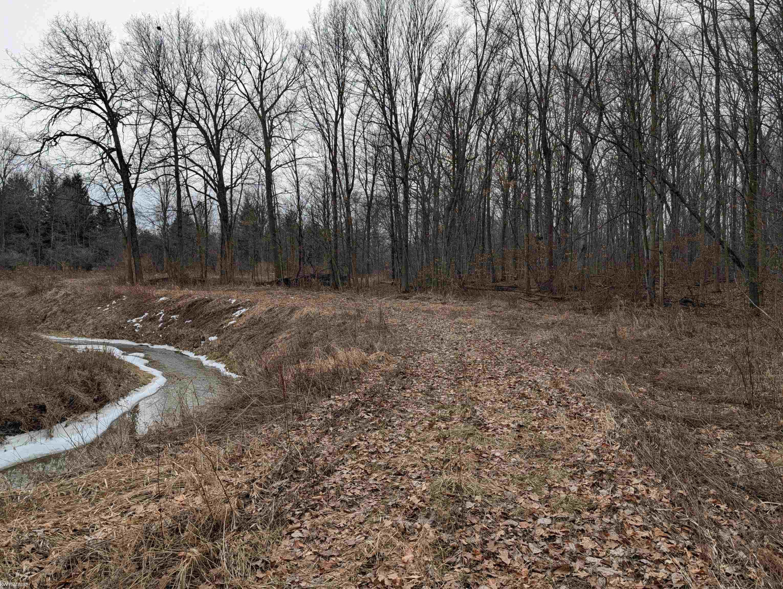 9072 Green Road, Wales, MI — Photo 61