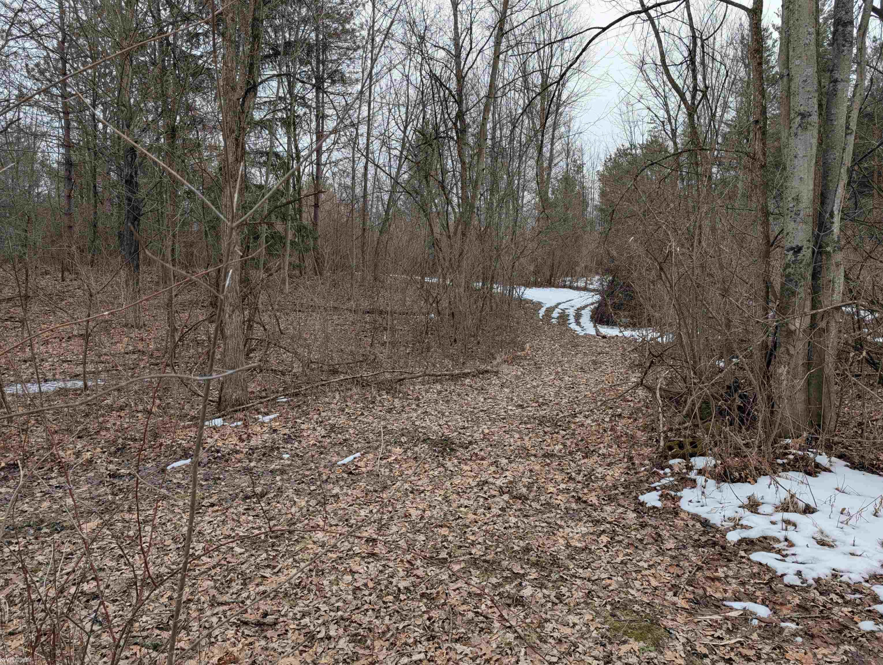 9072 Green Road, Wales, MI — Photo 66