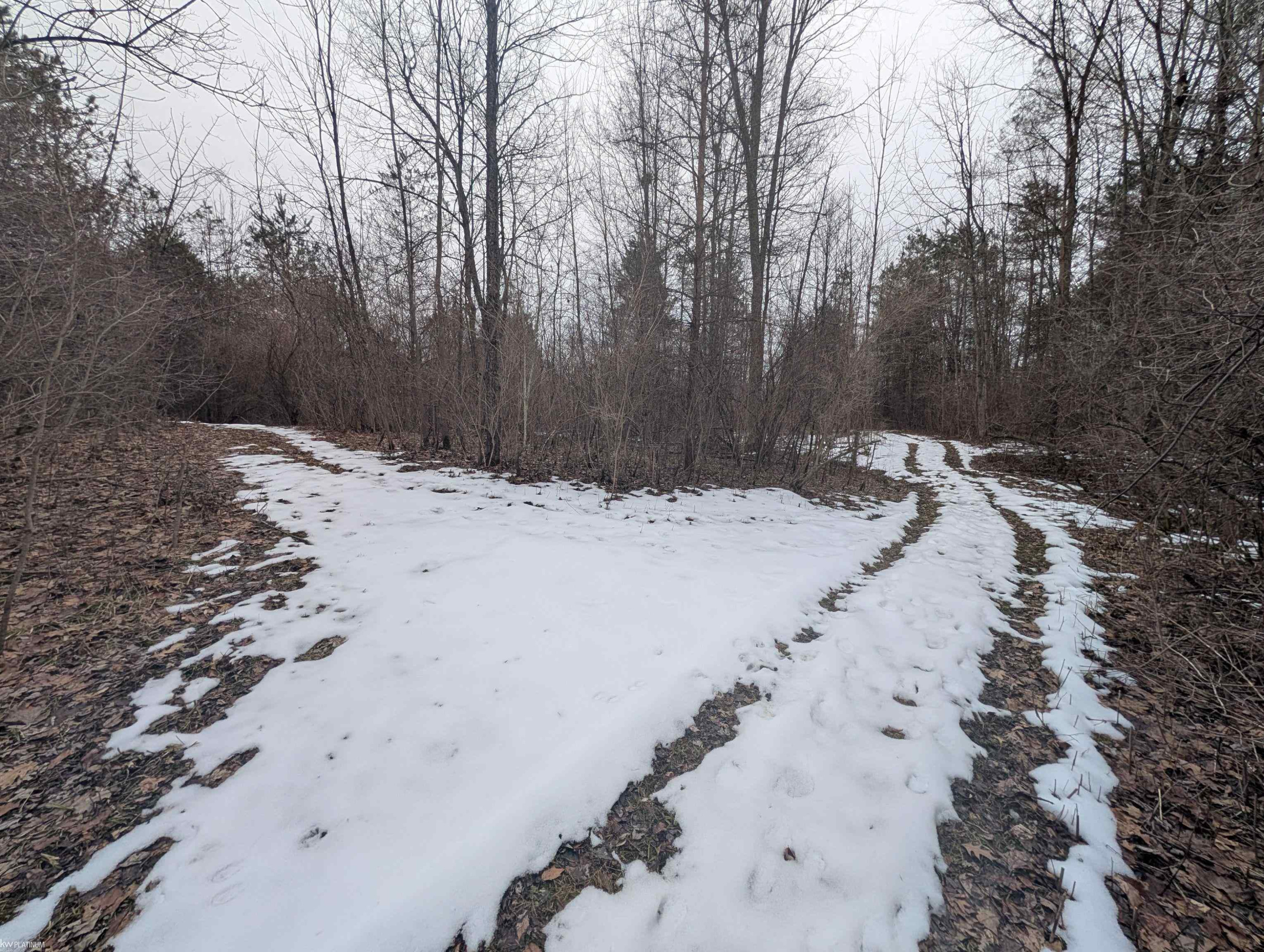 9072 Green Road, Wales, MI — Photo 67