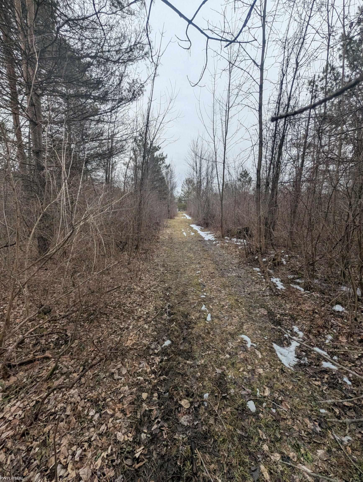 9072 Green Road, Wales, MI — Photo 68