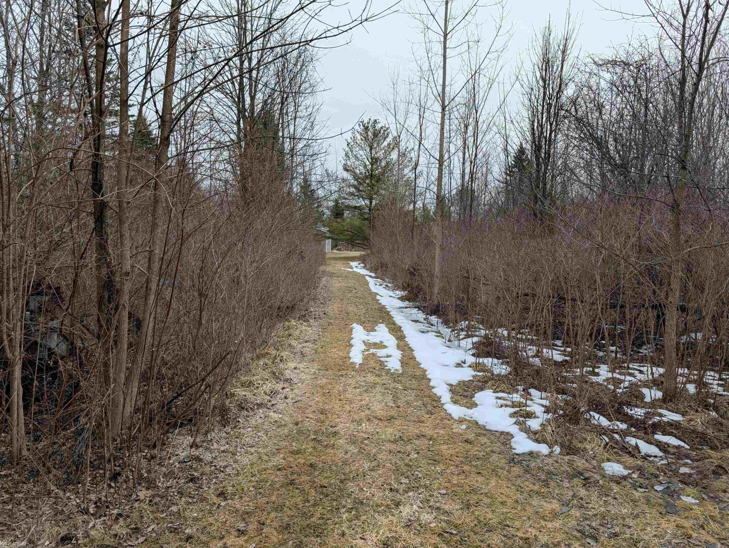 9072 Green Road, Wales, MI — Photo 71
